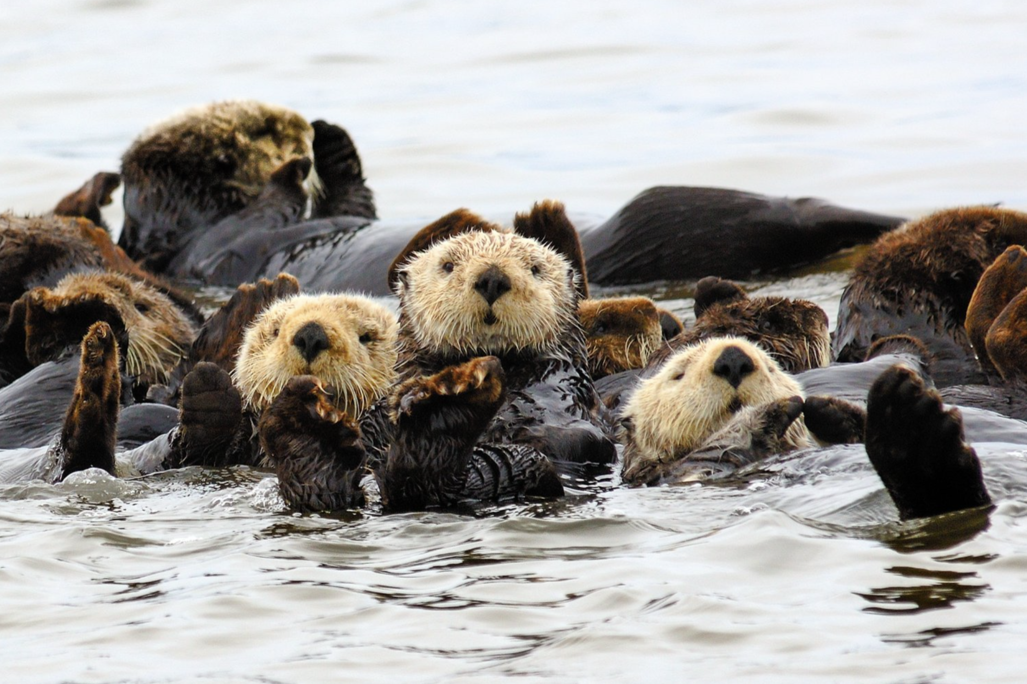 Screenshot 2024-04-18 at 12.23.12 PM.png