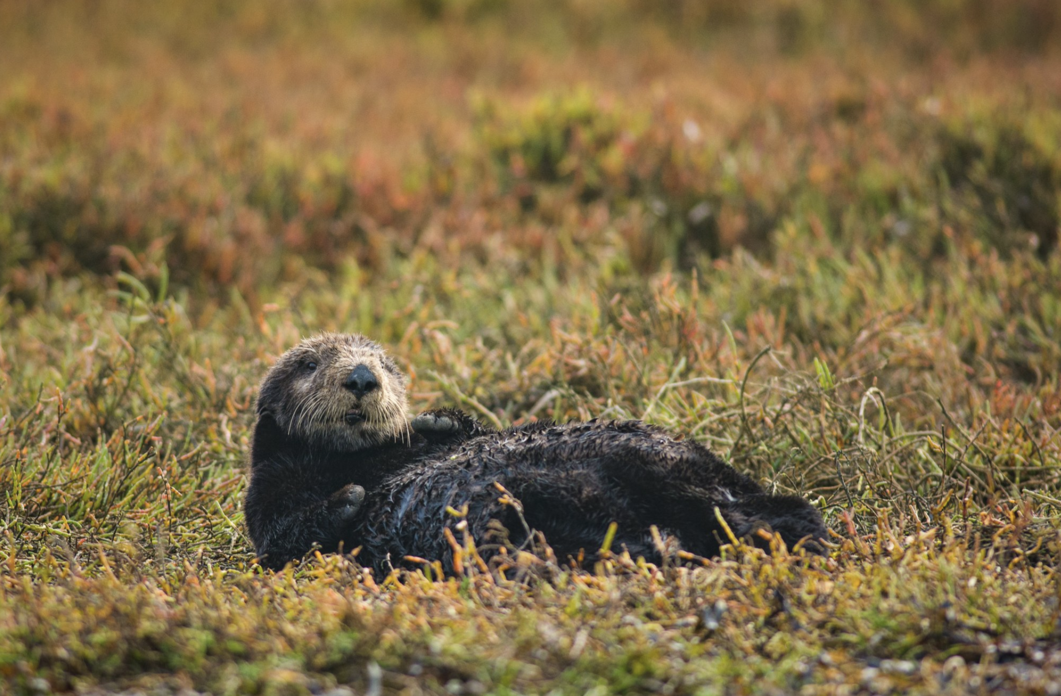 Screenshot 2024-04-18 at 12.24.27 PM.png