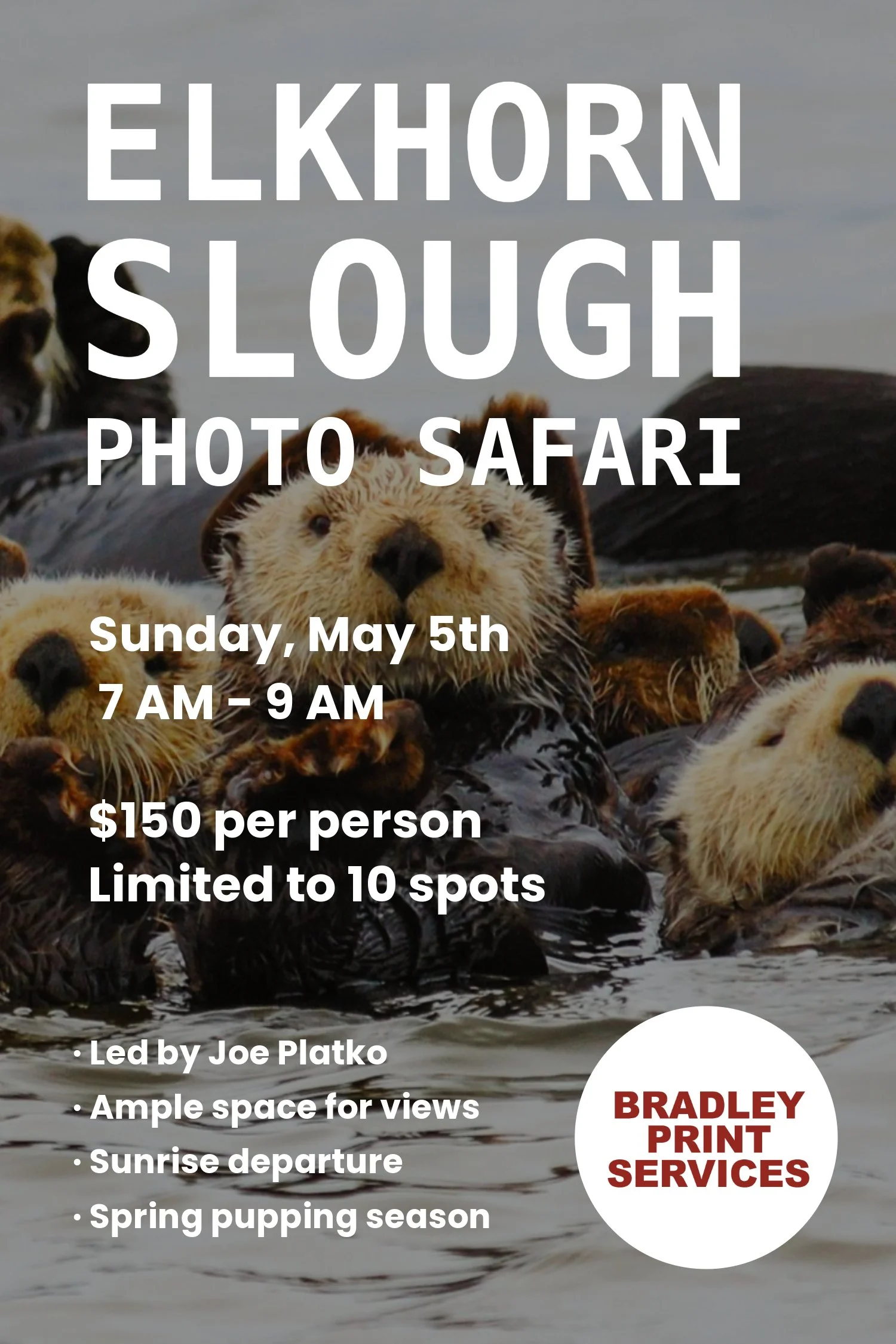 Sunday, May 5th — Elkhorn Slough Photo Safari
