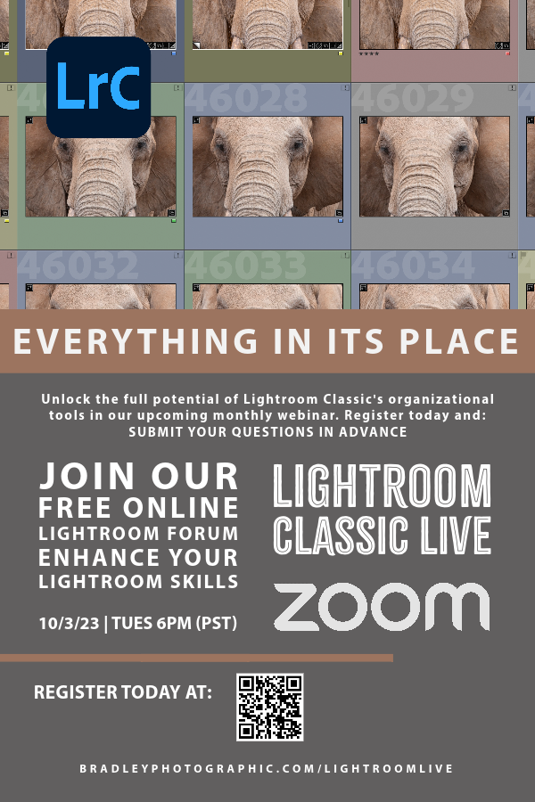 Lightroom Live on Zoom