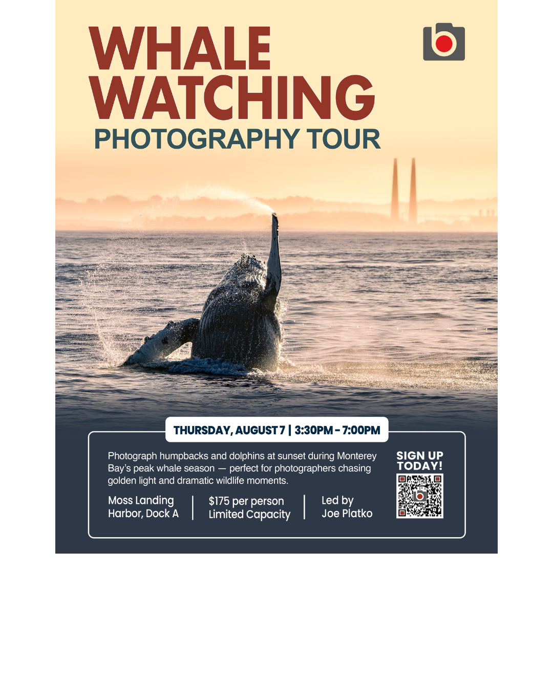 Whale Watching Photography Tour – August 7, Monterey Bay 