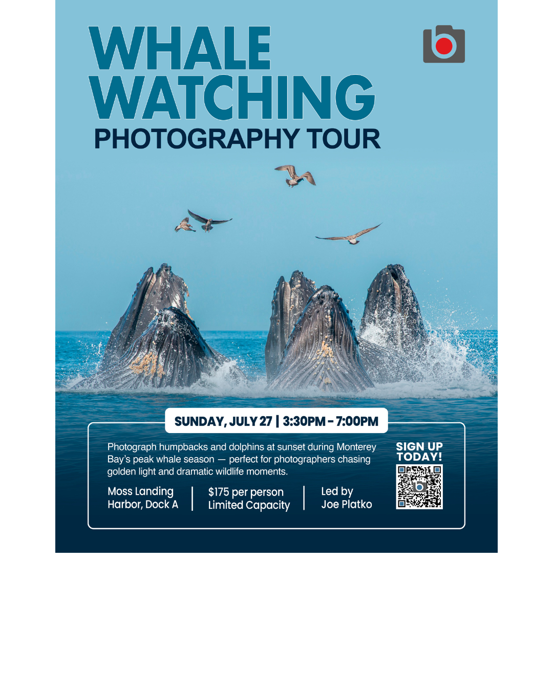 Whale Watching Photography Tour – July 27, Monterey Bay
