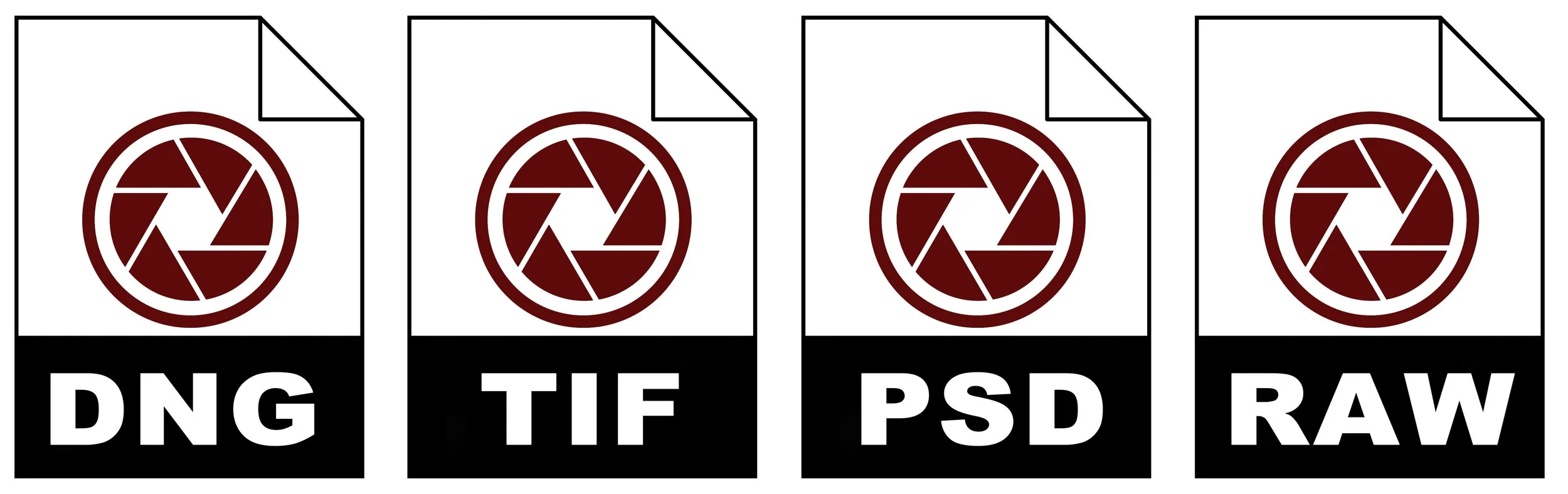 Four digital image icons representing different image file formats: DNG, TIF, PSD, and RAW, each with a camera shutter symbol above the format abbreviation.