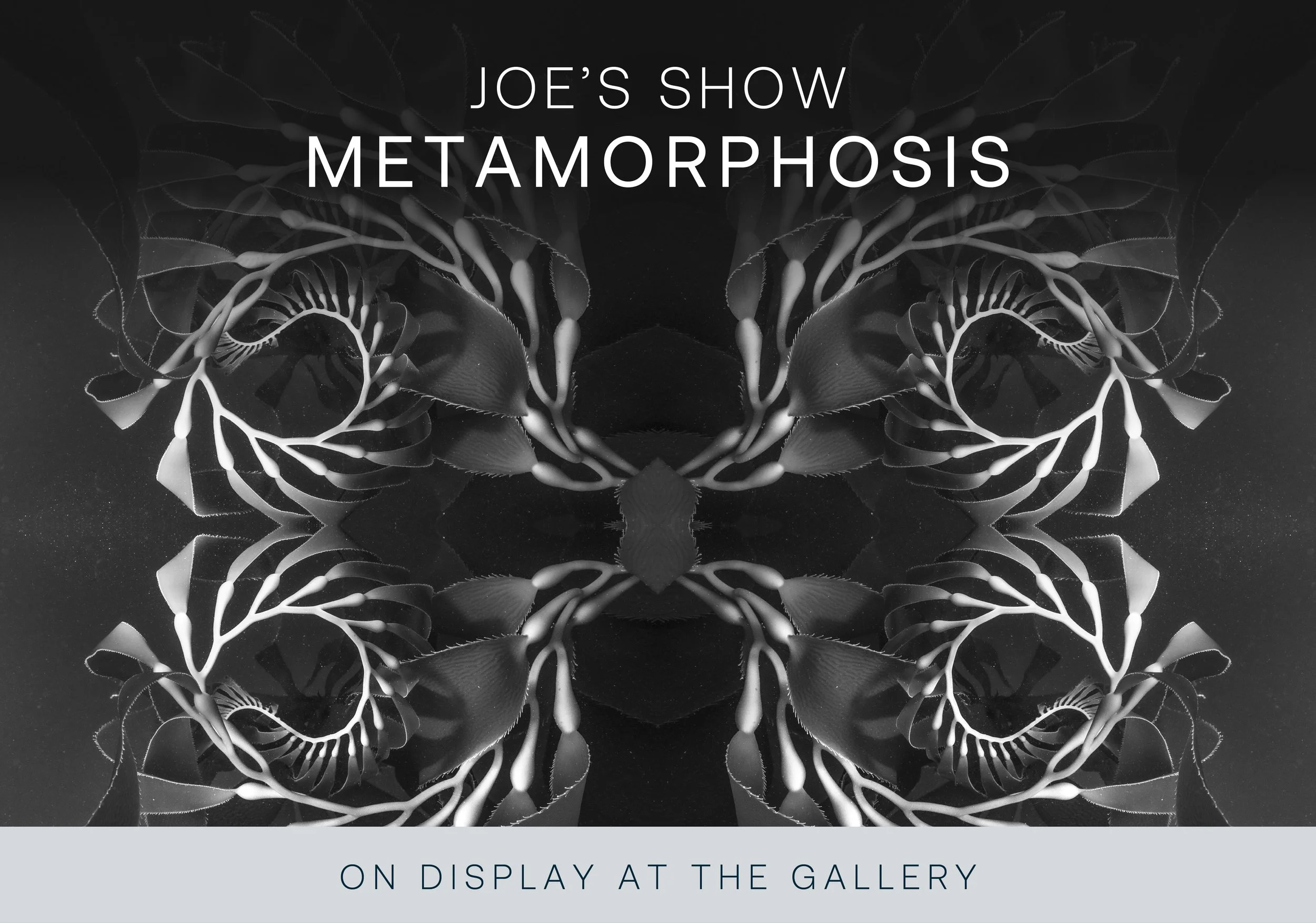 Joe's black-and-white abstract photography exhibition at Bradley Print & Photo.