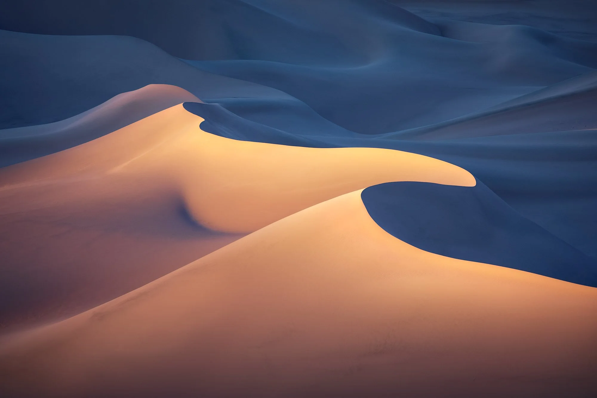Abstract desert sand dunes in warm gold and cool blue light, photographed by Alex Noriega.