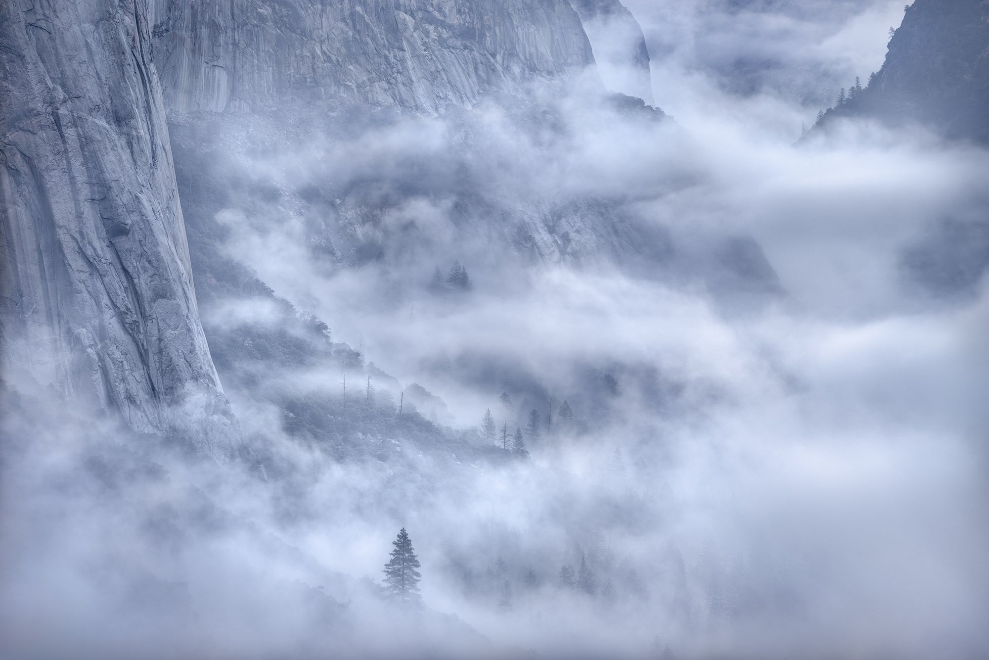 Granite cliffs and pine trees emerging through layers of mist in a serene mountain valley.