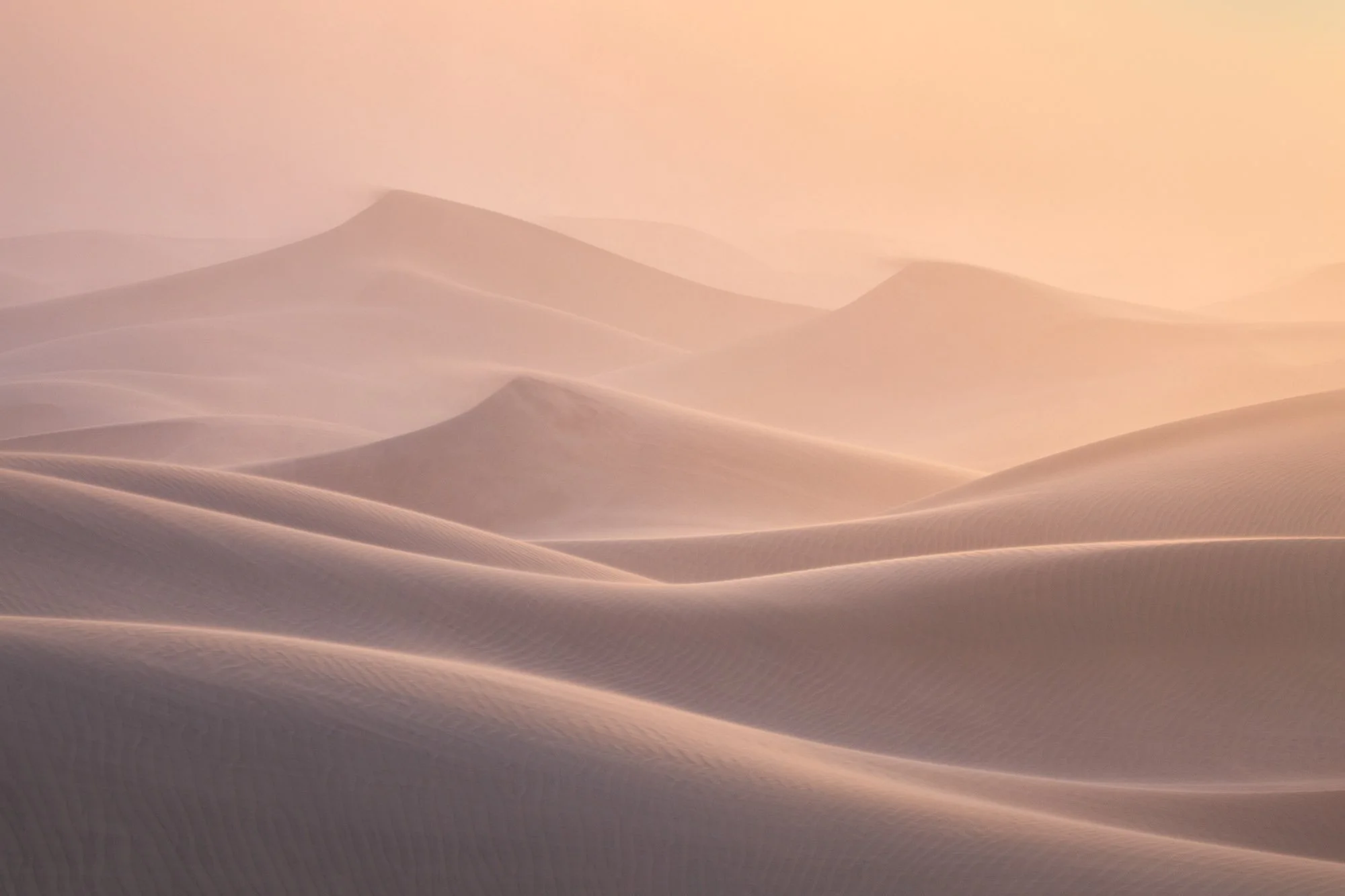 Soft golden desert dunes layered in morning haze, minimalist landscape by Alex Noriega.