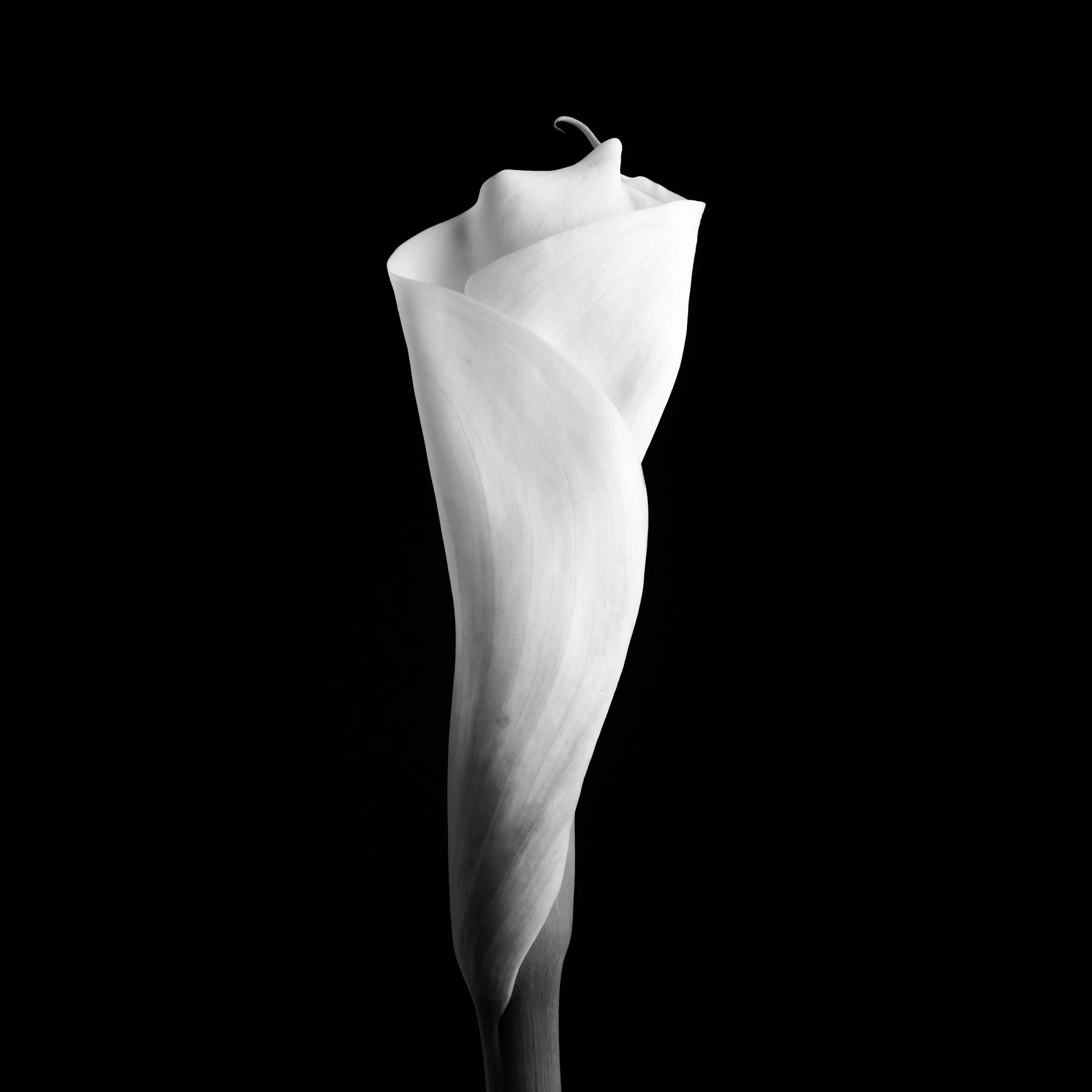 Ghoststory.14.jpg