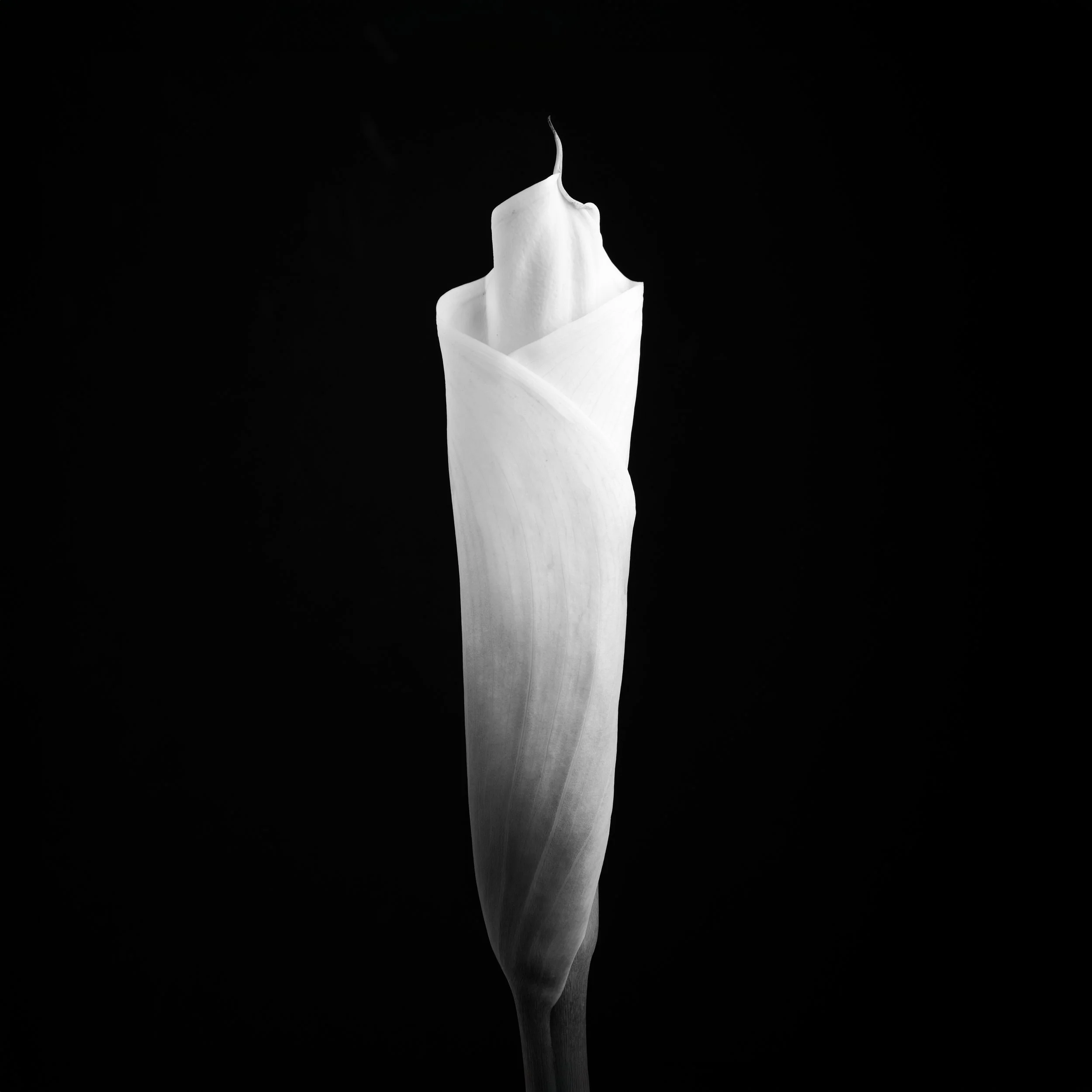 Ghoststory.17.jpg