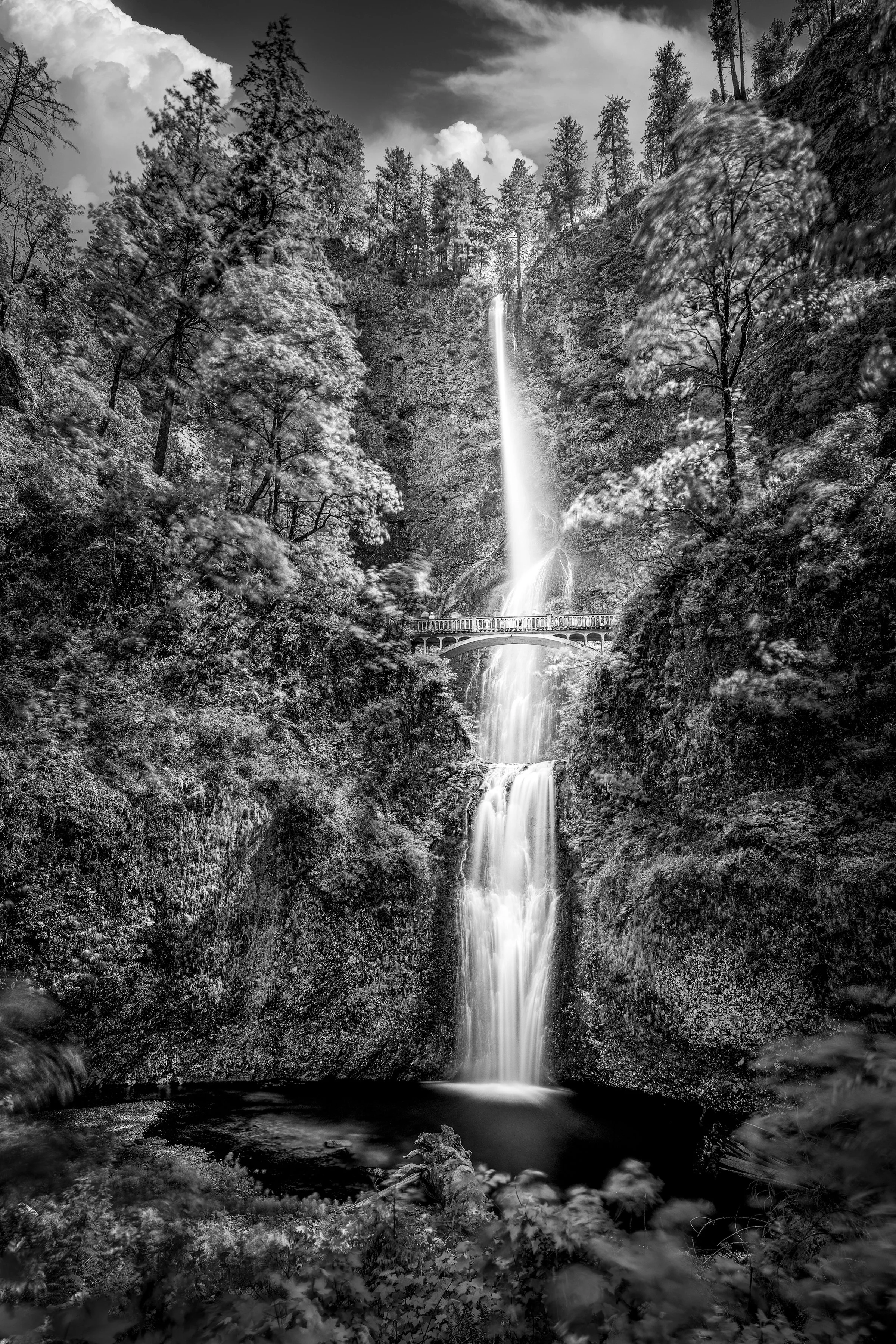 Multnomah Falls (2022)