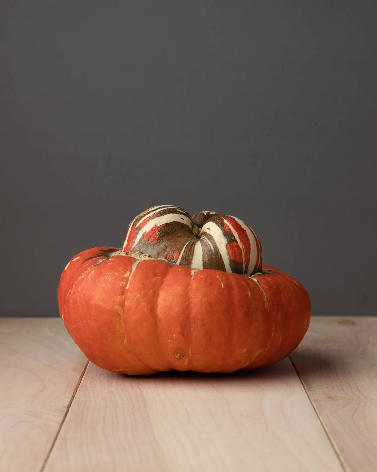 punkins-2.jpg