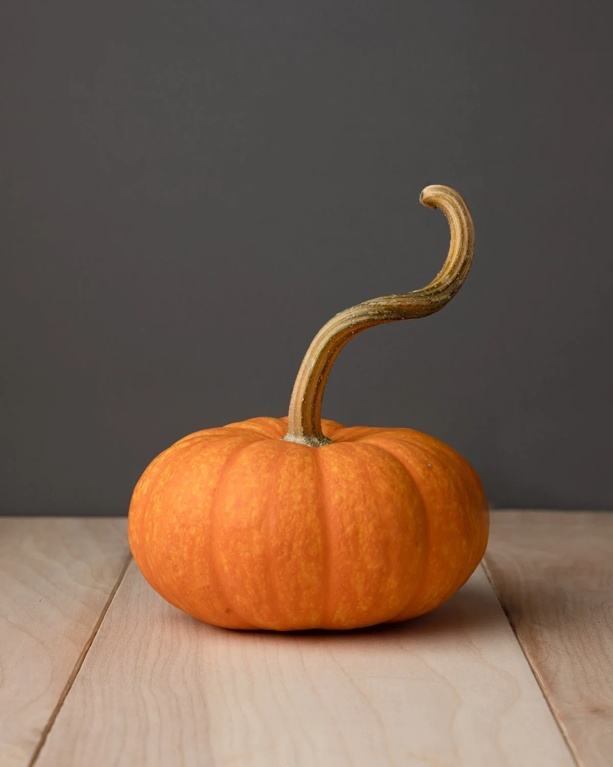 punkins.jpg