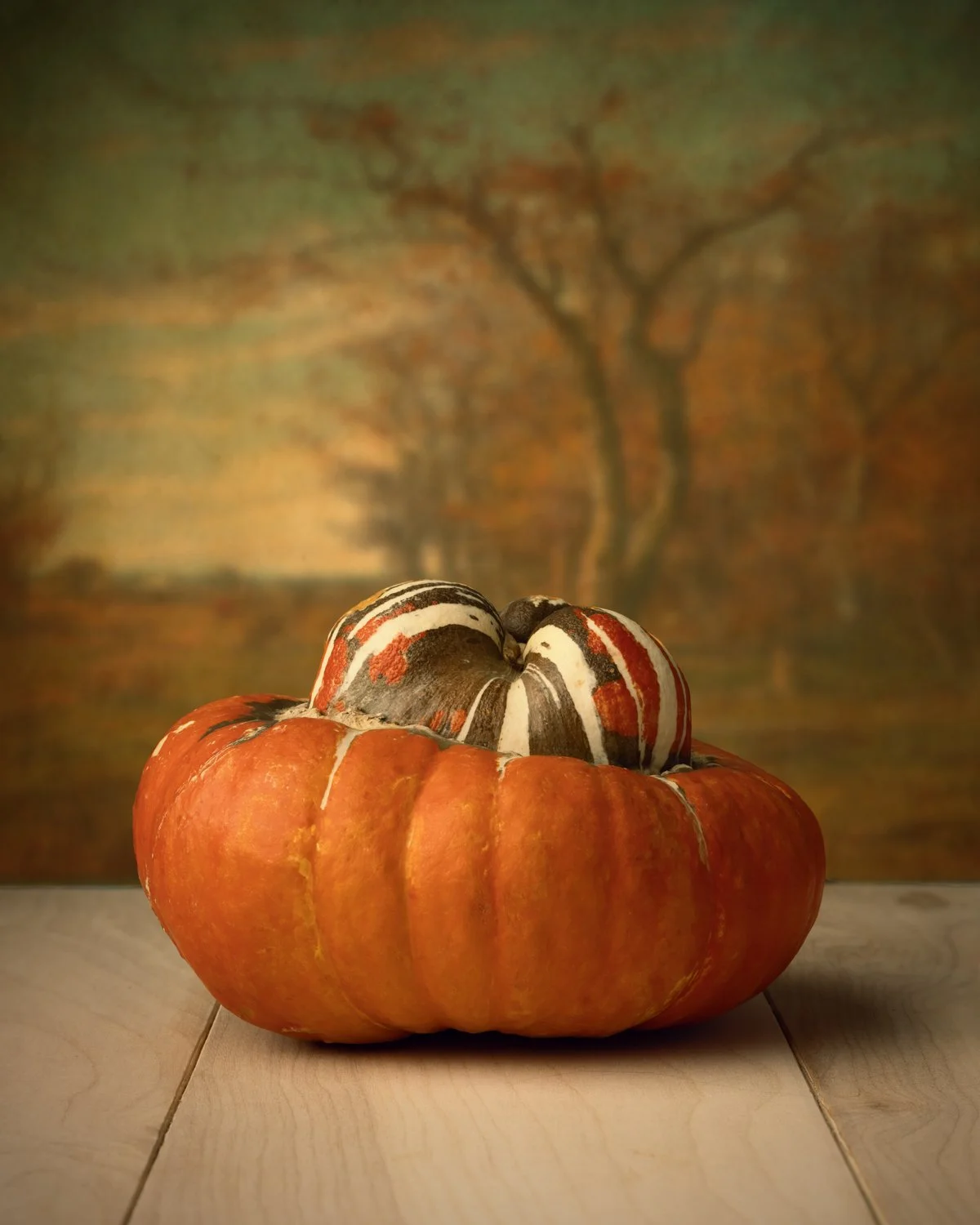 punkinsdun-2.jpg