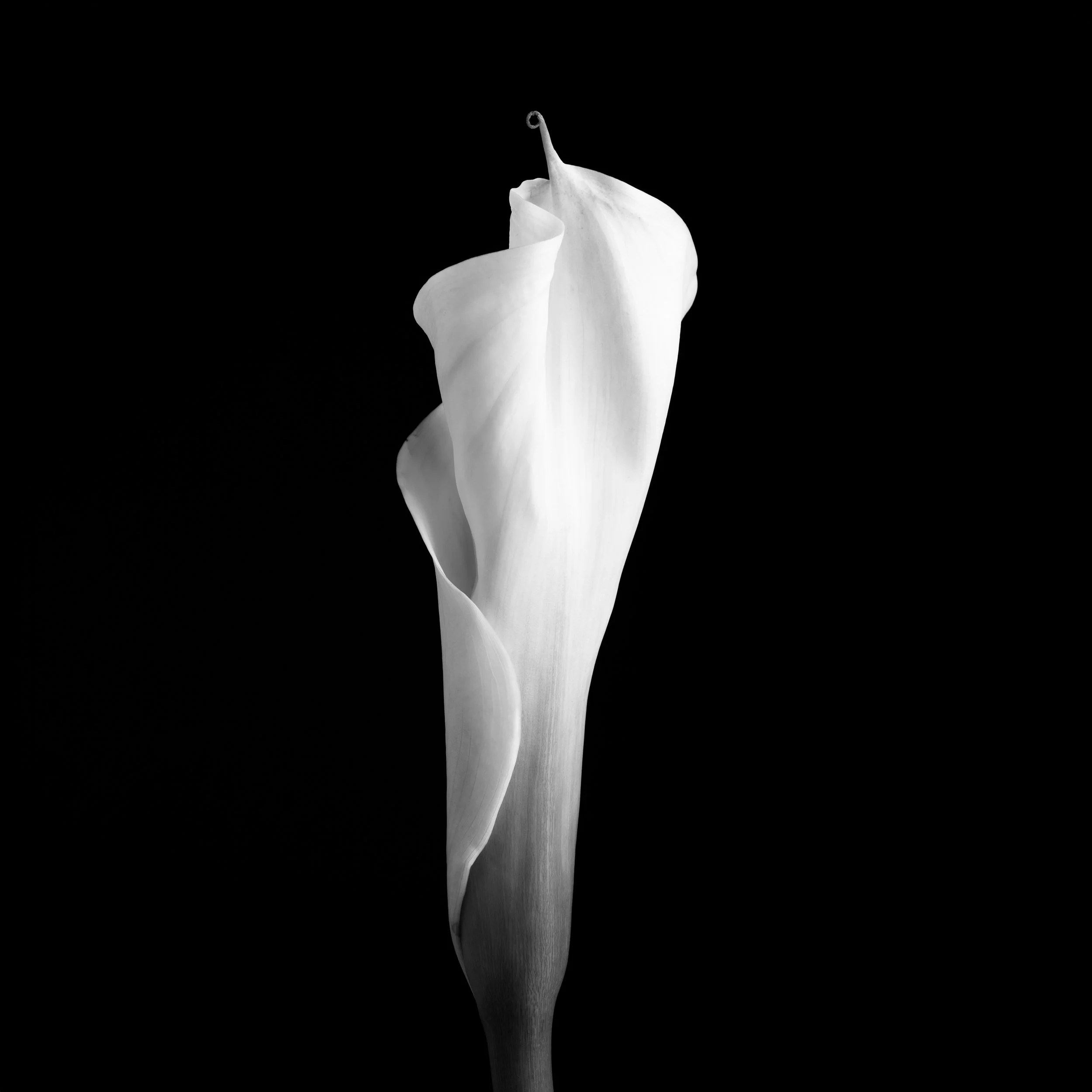 Ghoststory.9.jpg