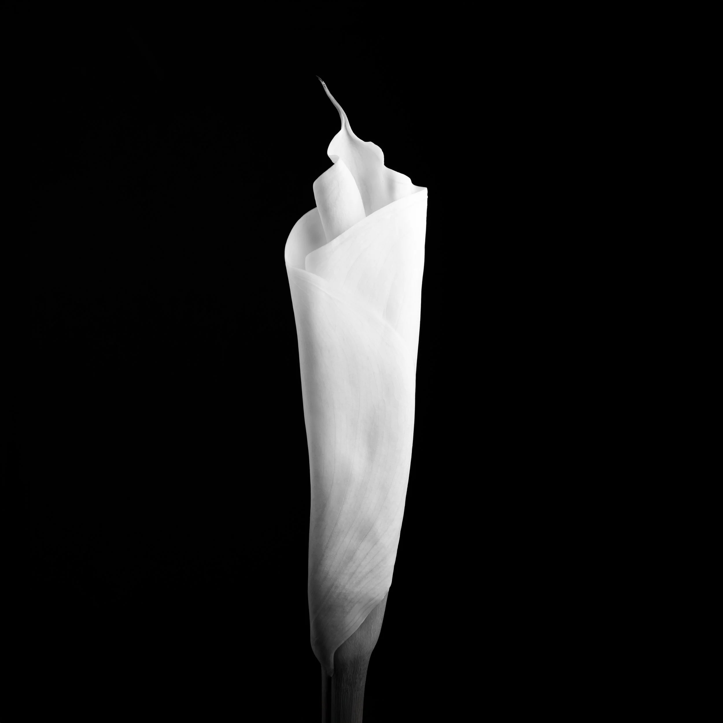 Ghoststory.16.jpg