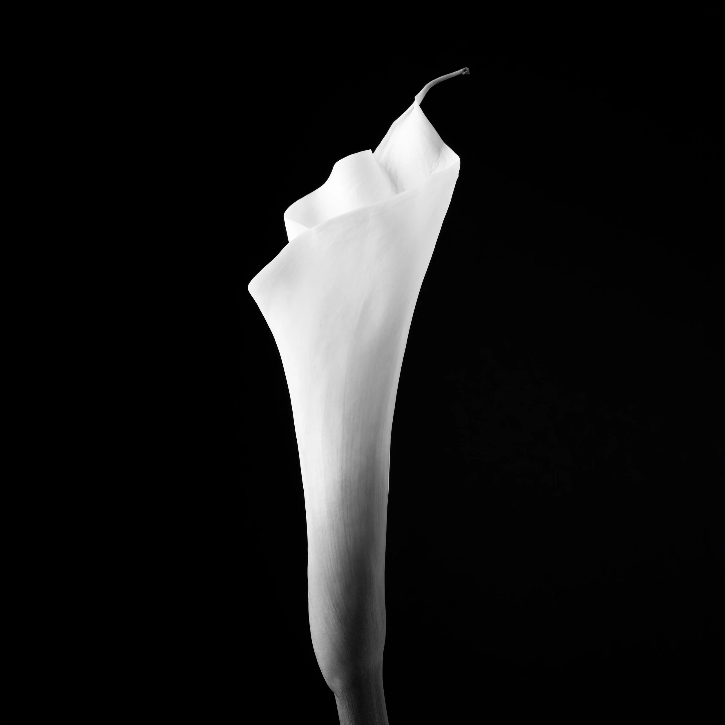 Ghoststory.11.jpg