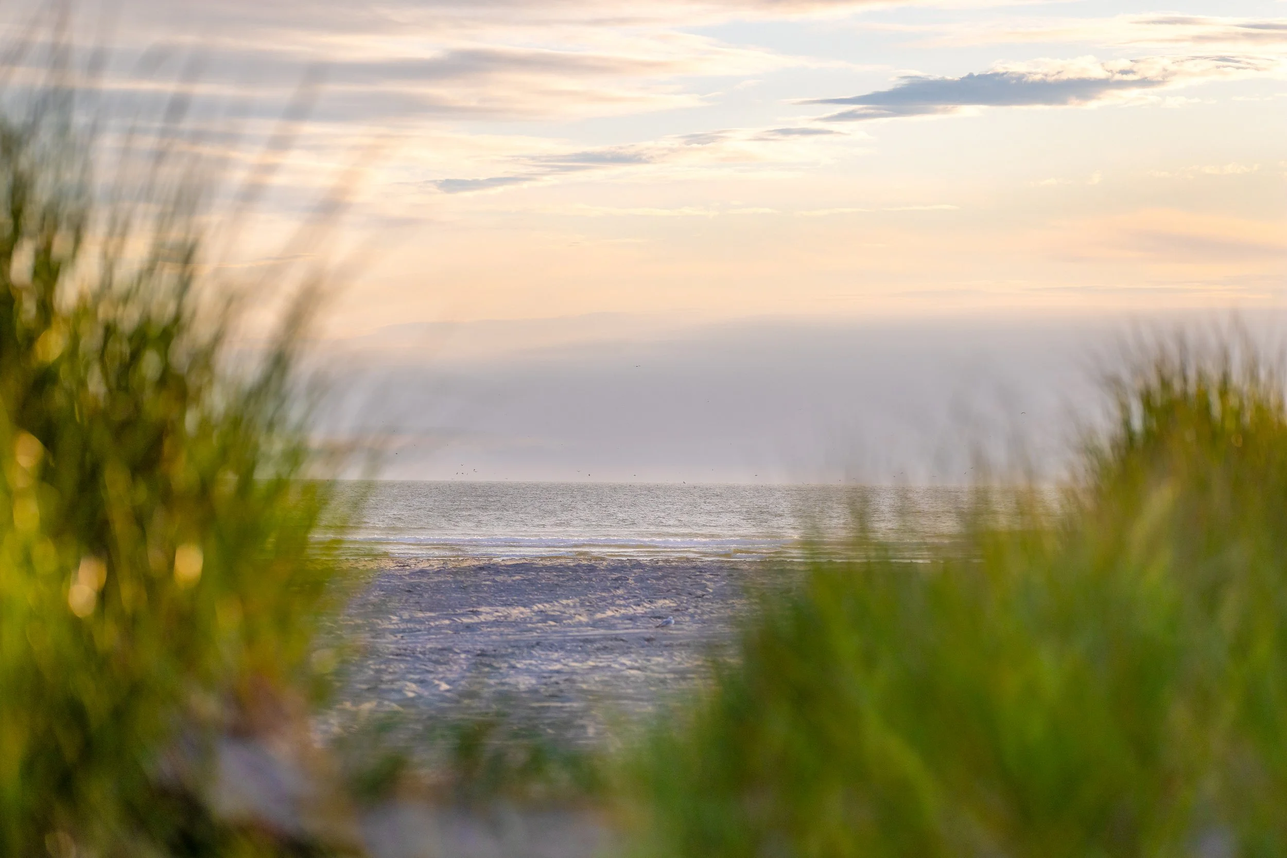 North Pacific Near Sundown (2025)