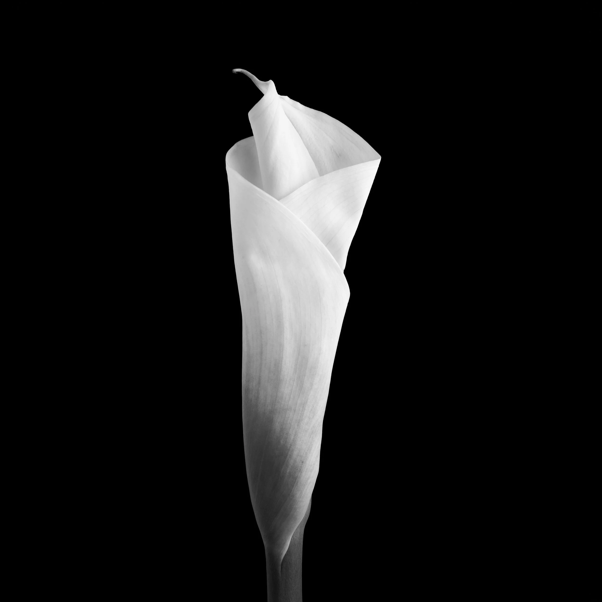 Ghoststory.13.jpg