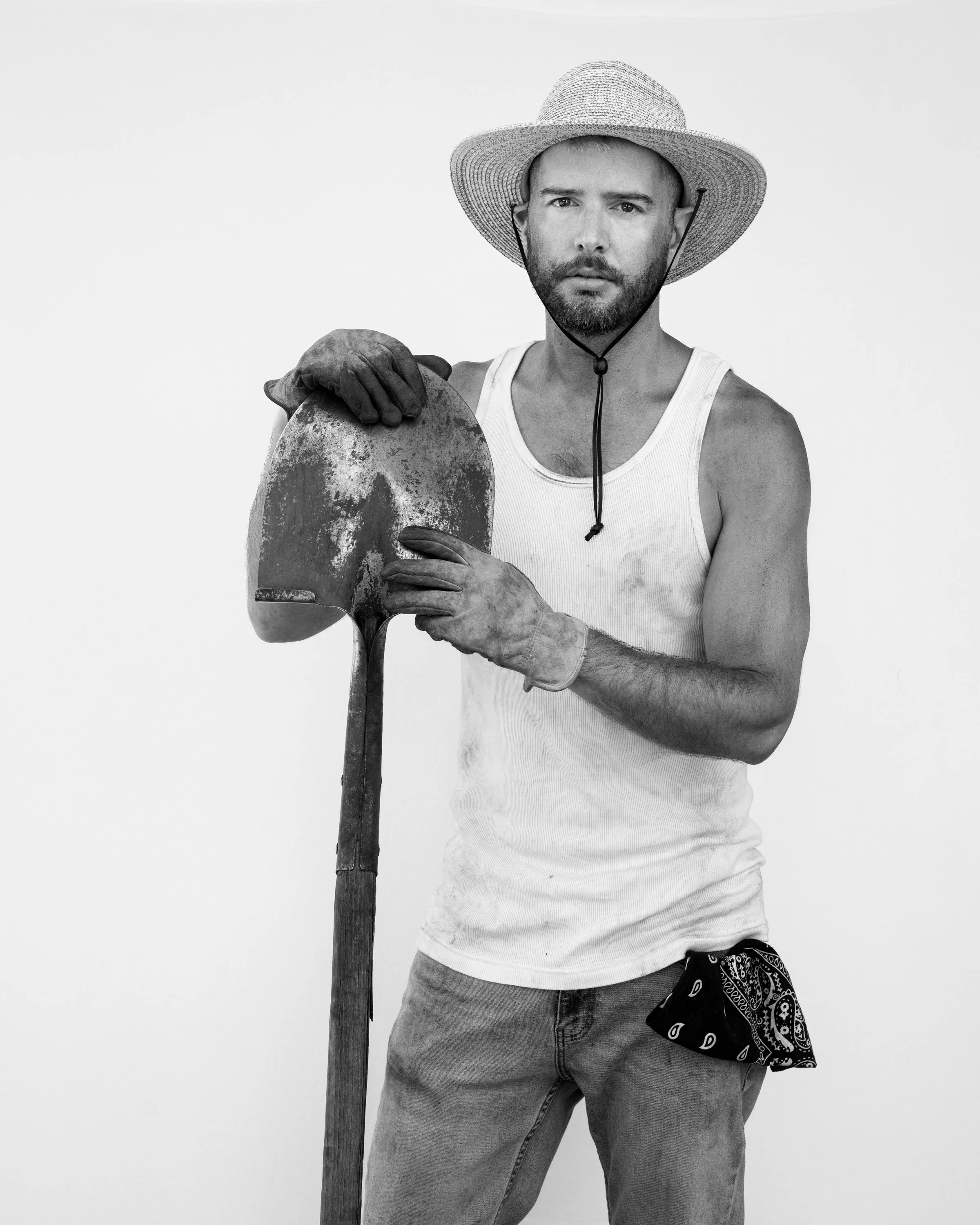 David (2024)