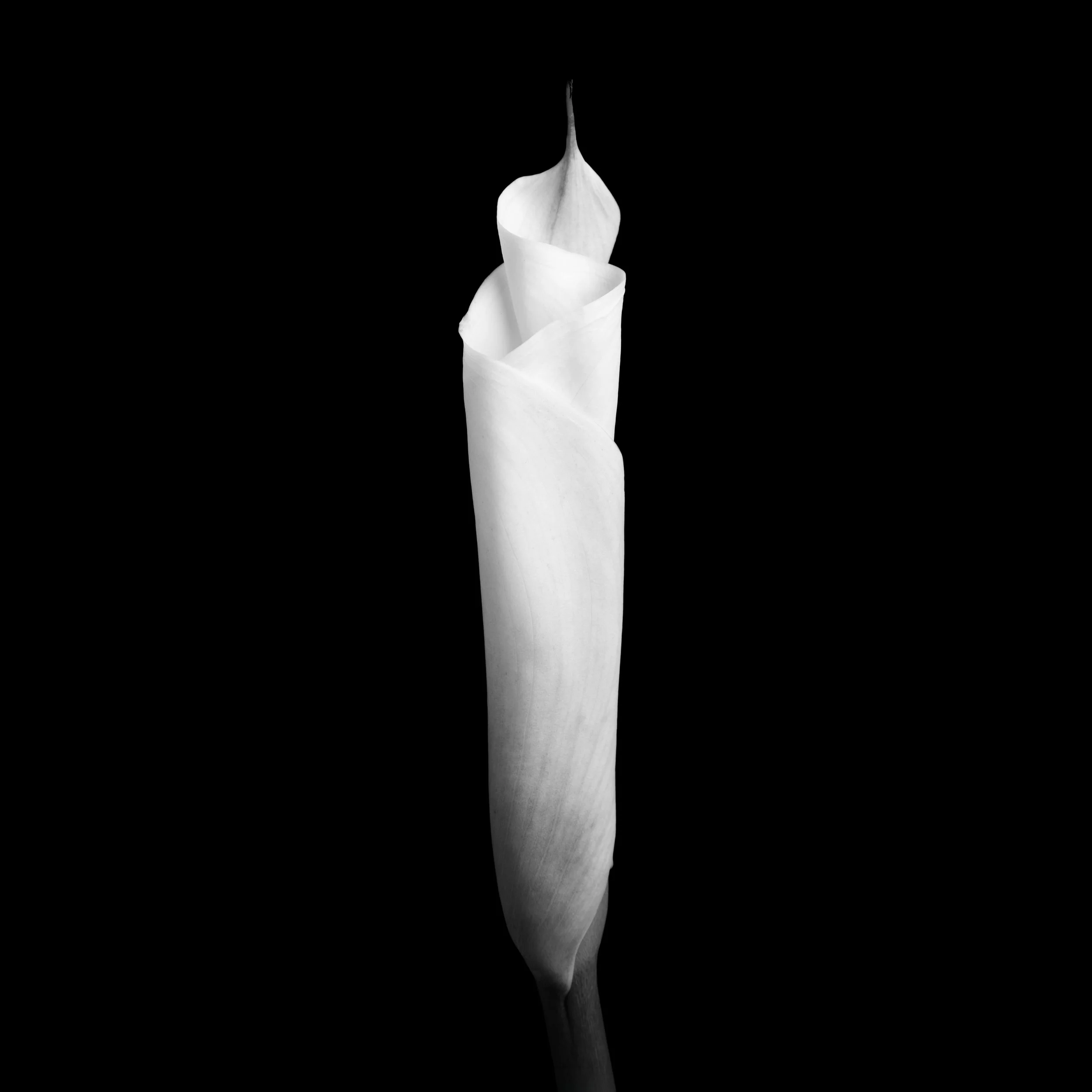 Ghoststory.32.jpg