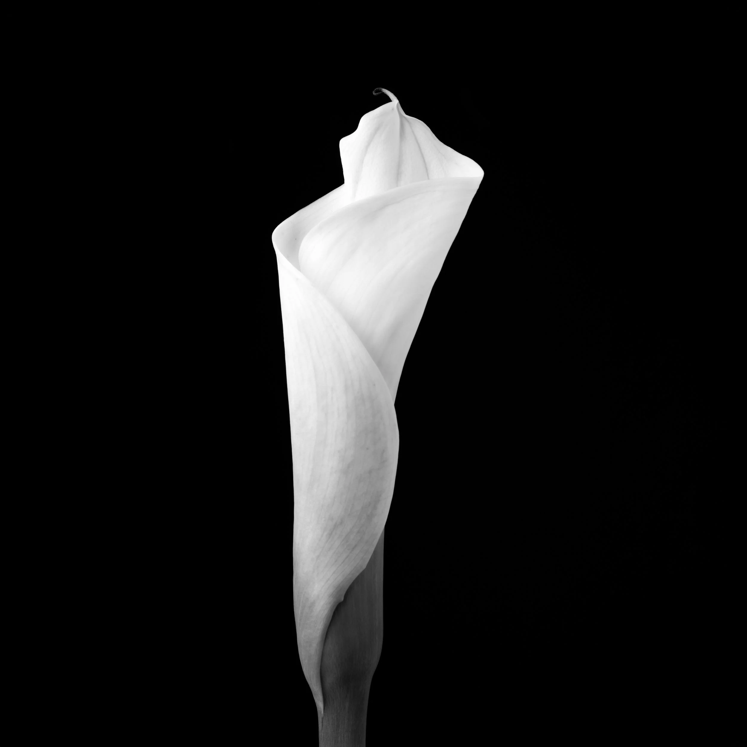 Ghoststory.18.jpg