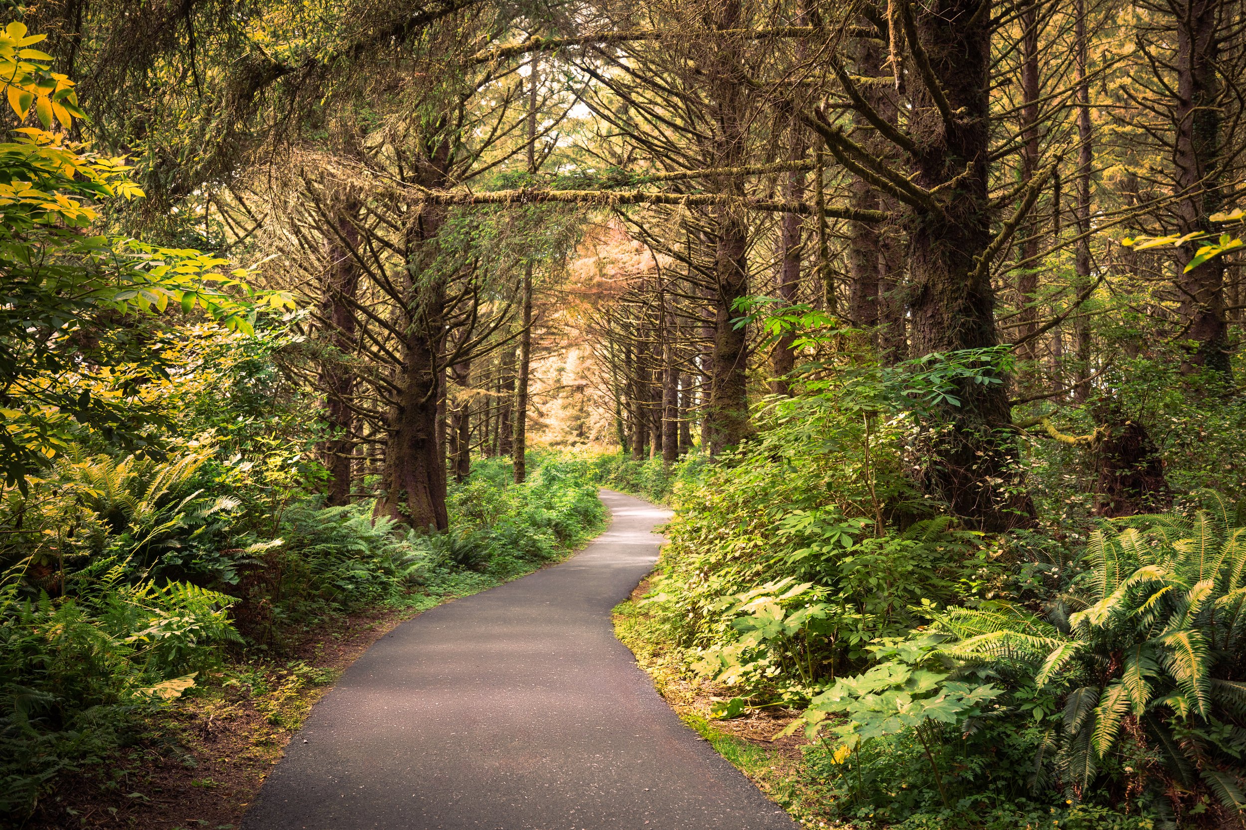 Cape Disappointment State Park (2024)