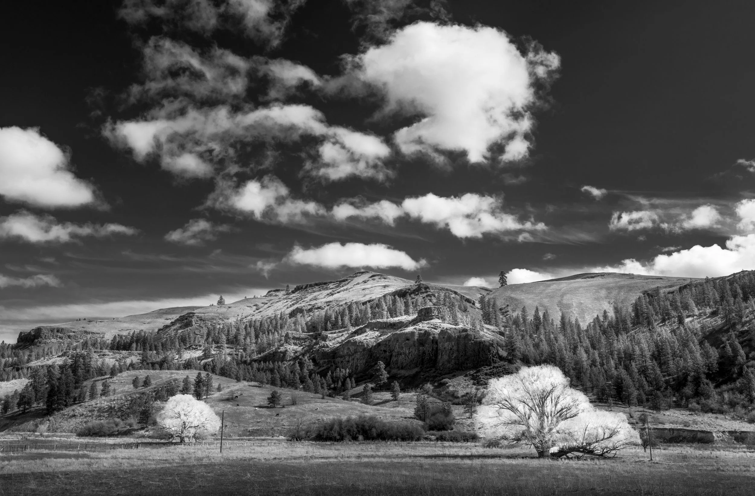 Way Out There No. 1 (2023)