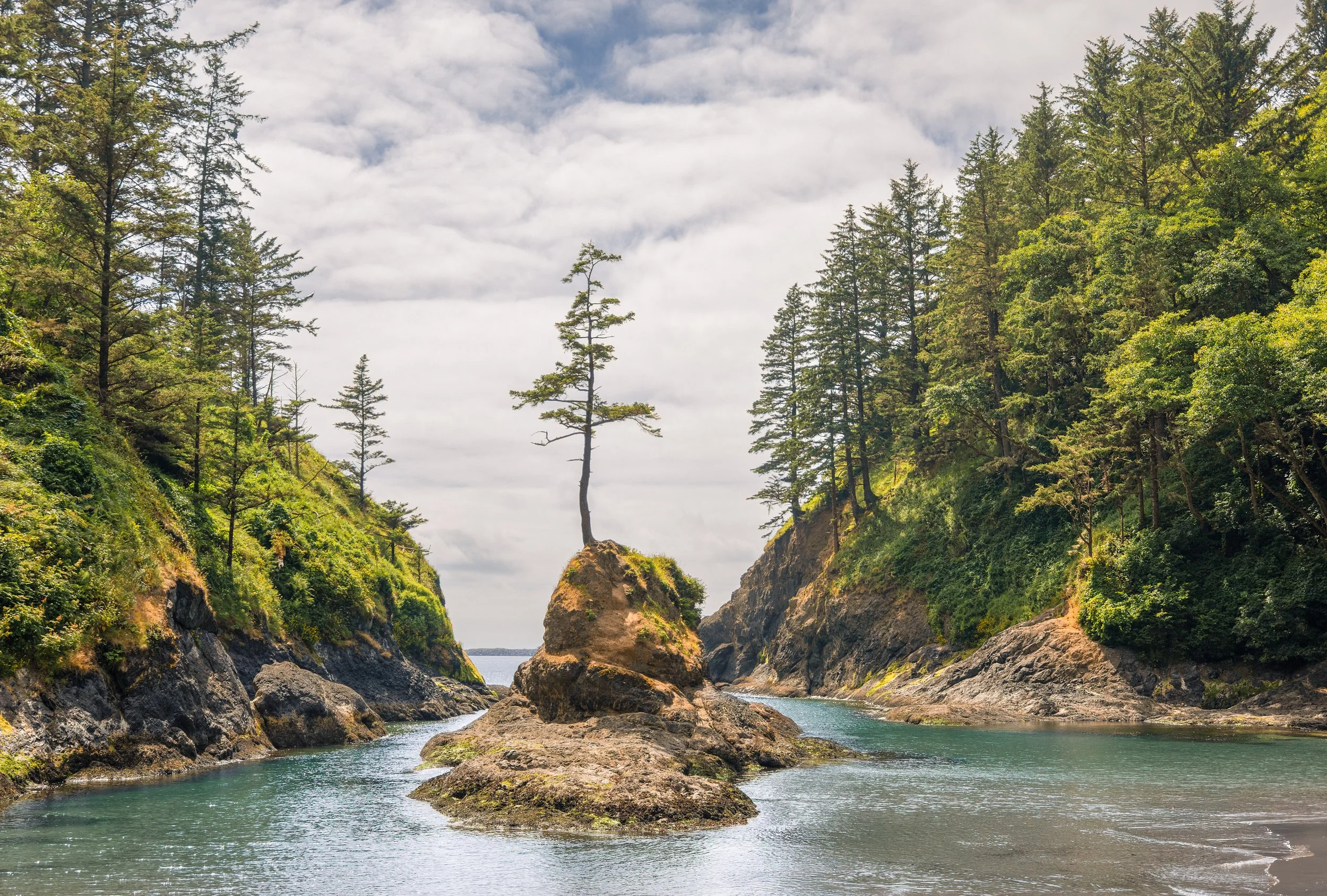 Dead Man's Cove (2025)
