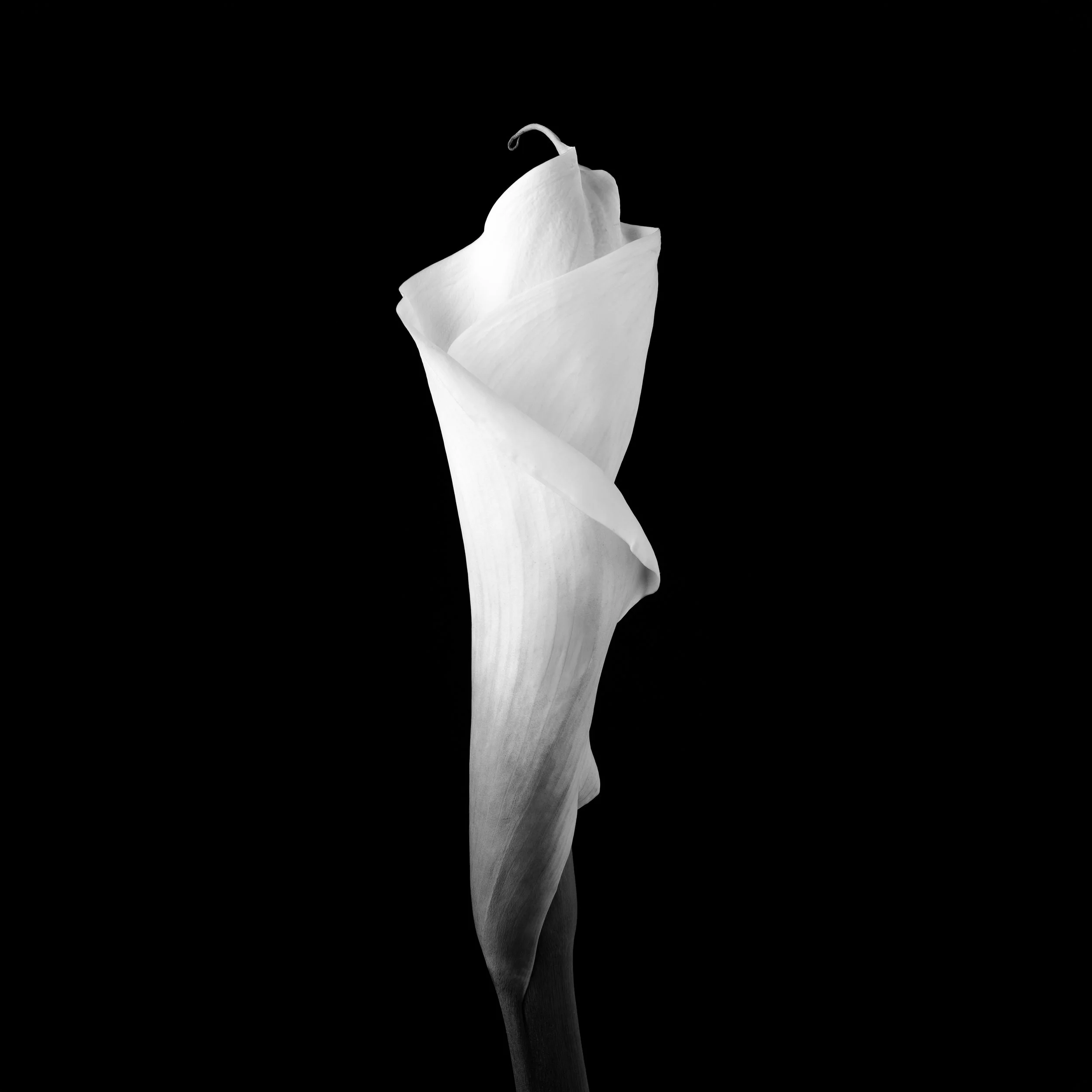 Ghoststory.7.jpg