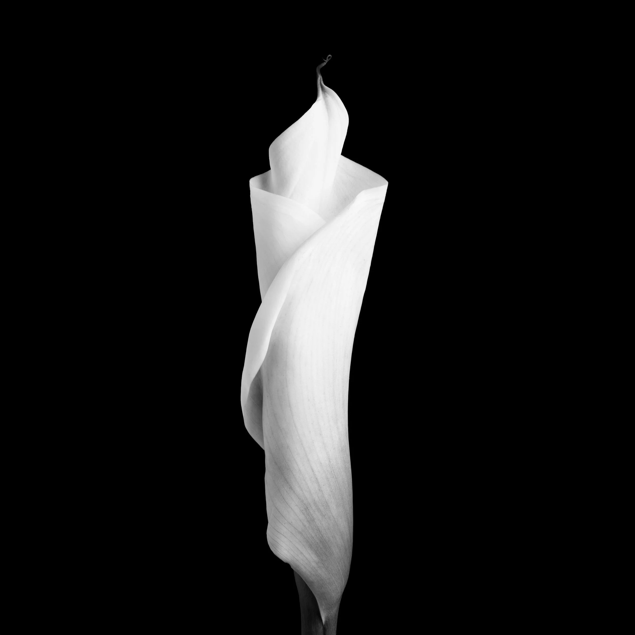 Ghoststory.10.jpg