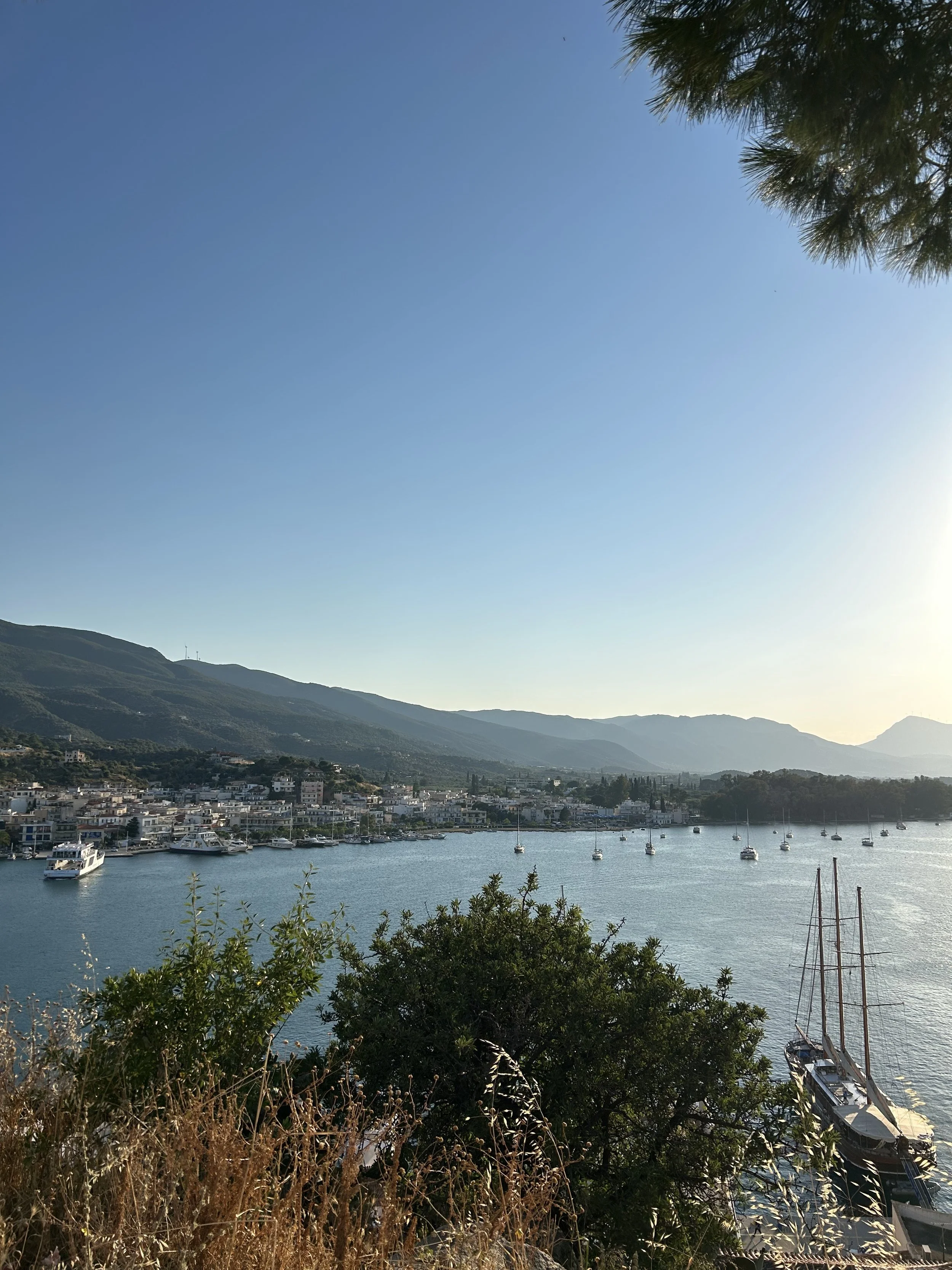A coastal town by a calm bay with sailboats and yachts, surrounded by green hills and mountains, under a clear blue sky with some pine tree branches visible in the top right corner.