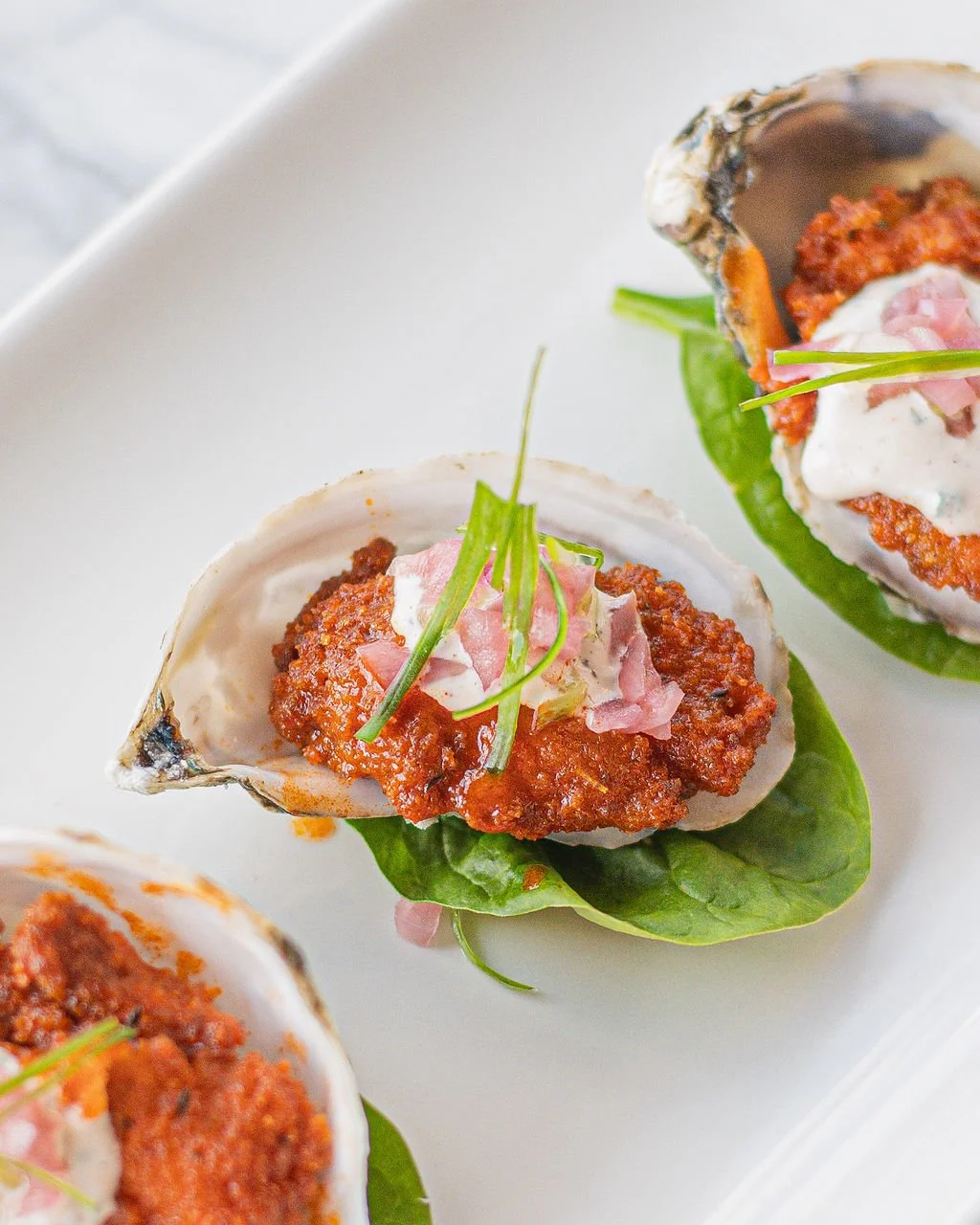 OystersOutdoor_Lanez-1.jpg