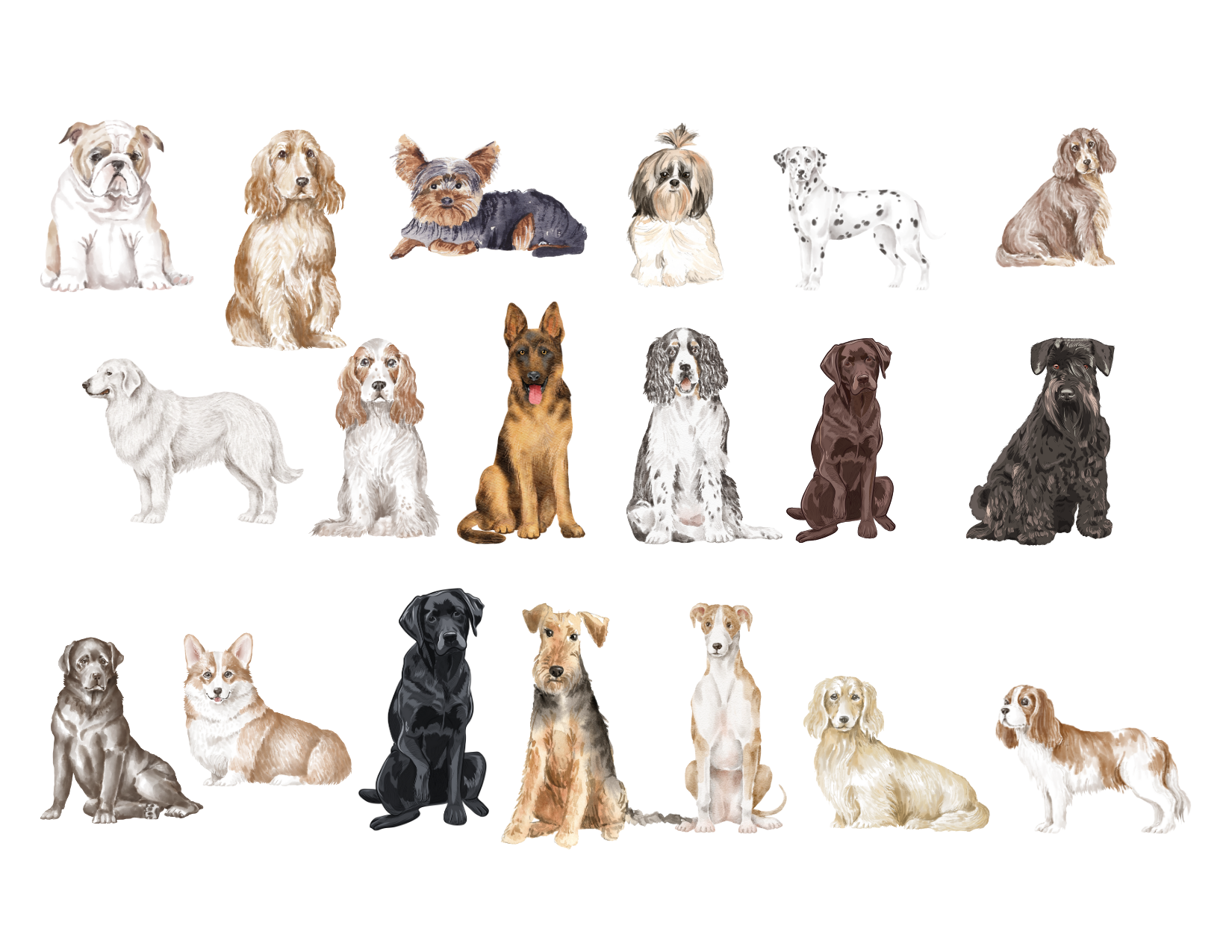 PET STATIONERY COLLECTION (1).png