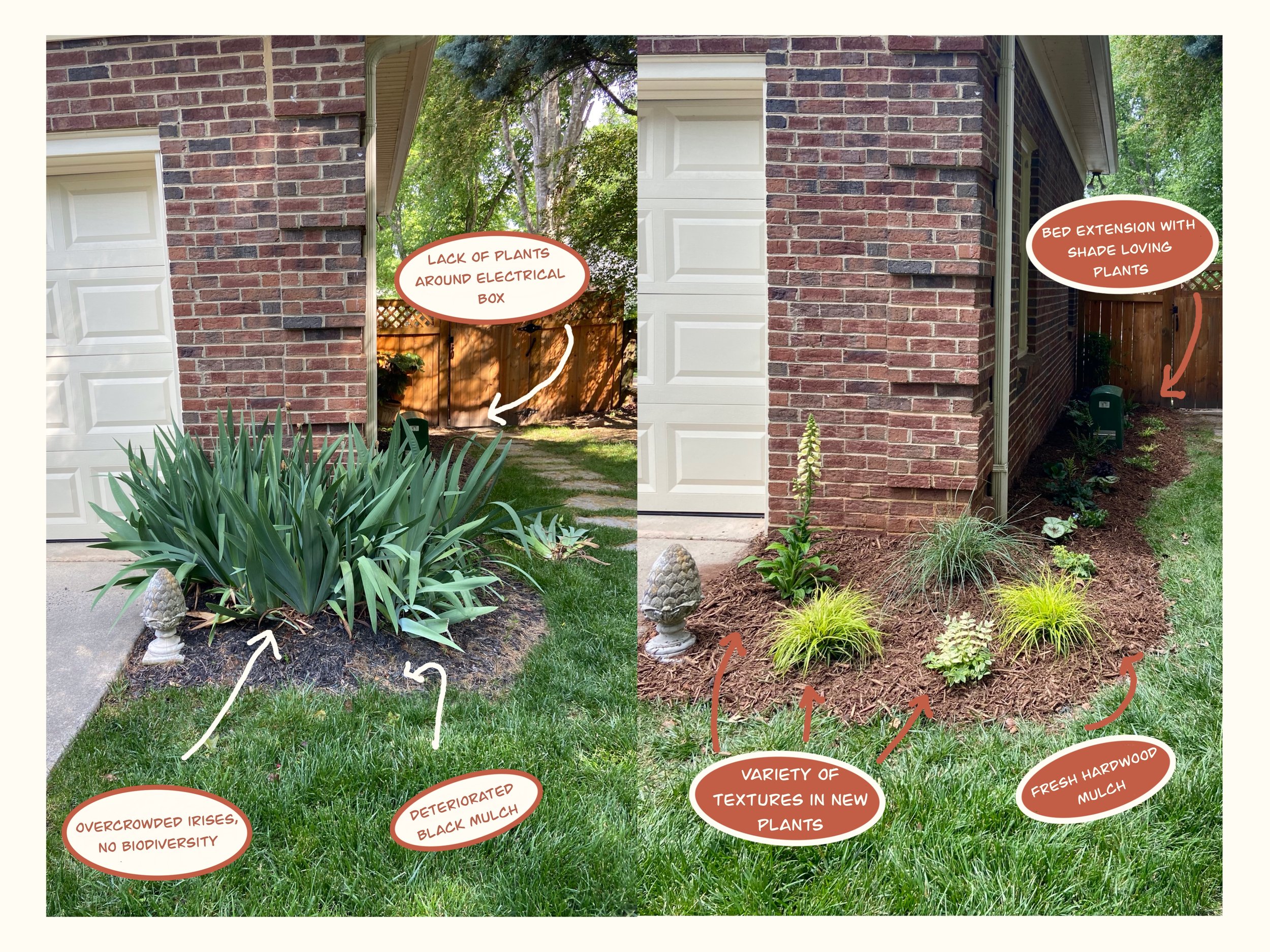 Side-by-side comparison of two garden beds next to a house. The left garden bed has overcrowded irises with no biodiversity and deteriorated black mulch. The right garden bed features a variety of textures in new plants, a bed extension with shade-lo