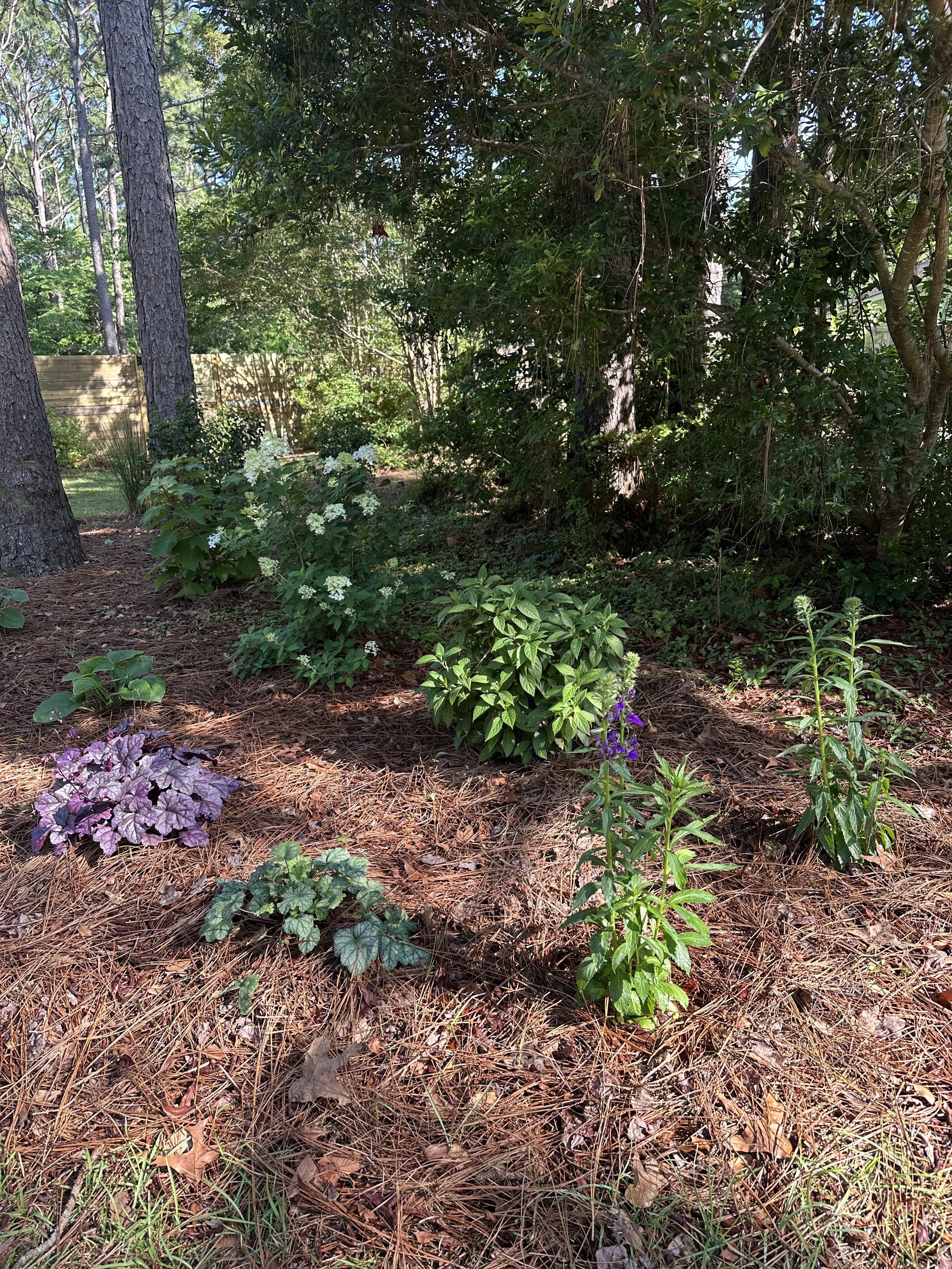 Private Property, Wilmington NC | 2025