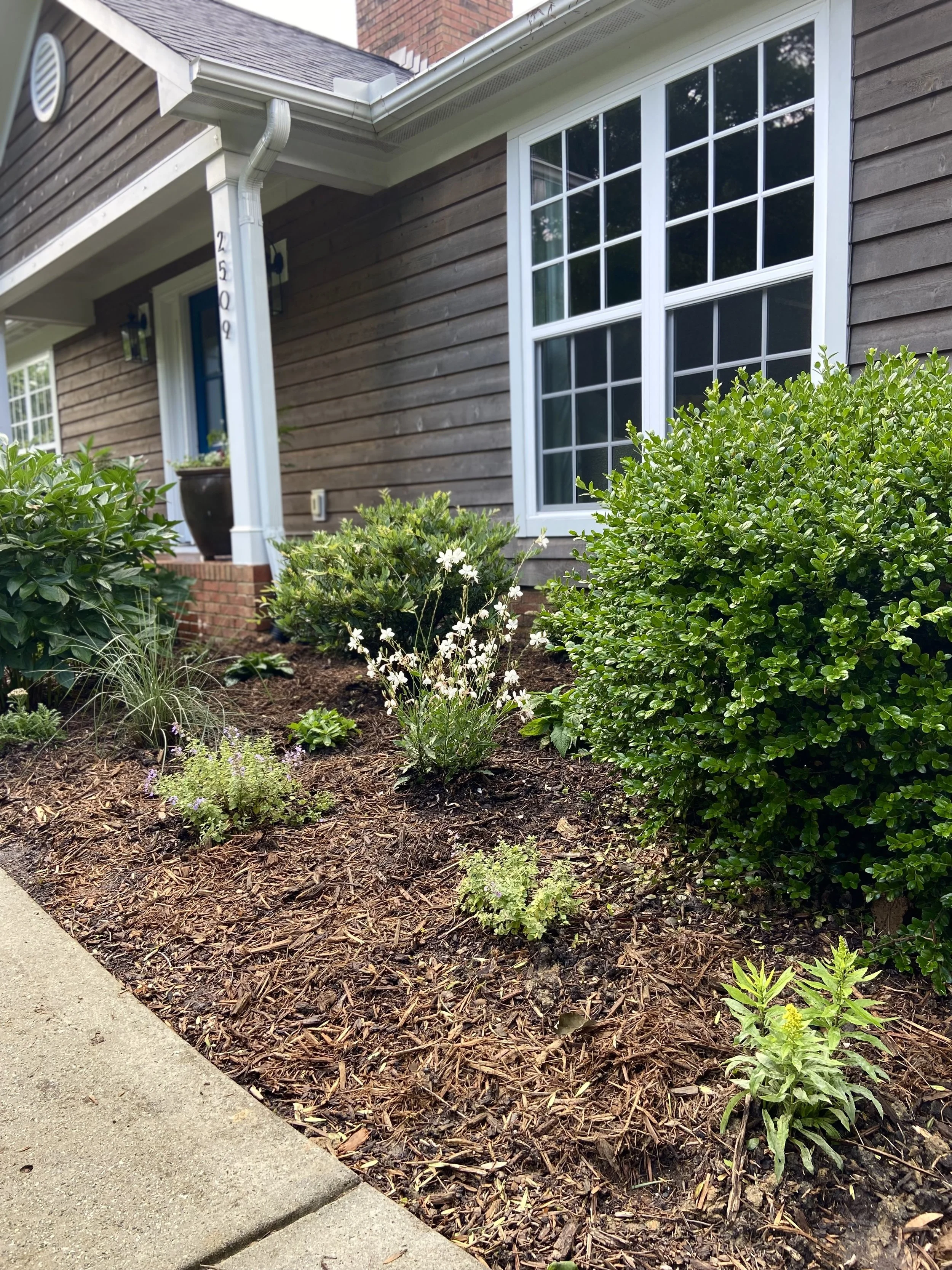 Plenty of plants to absorb excess water