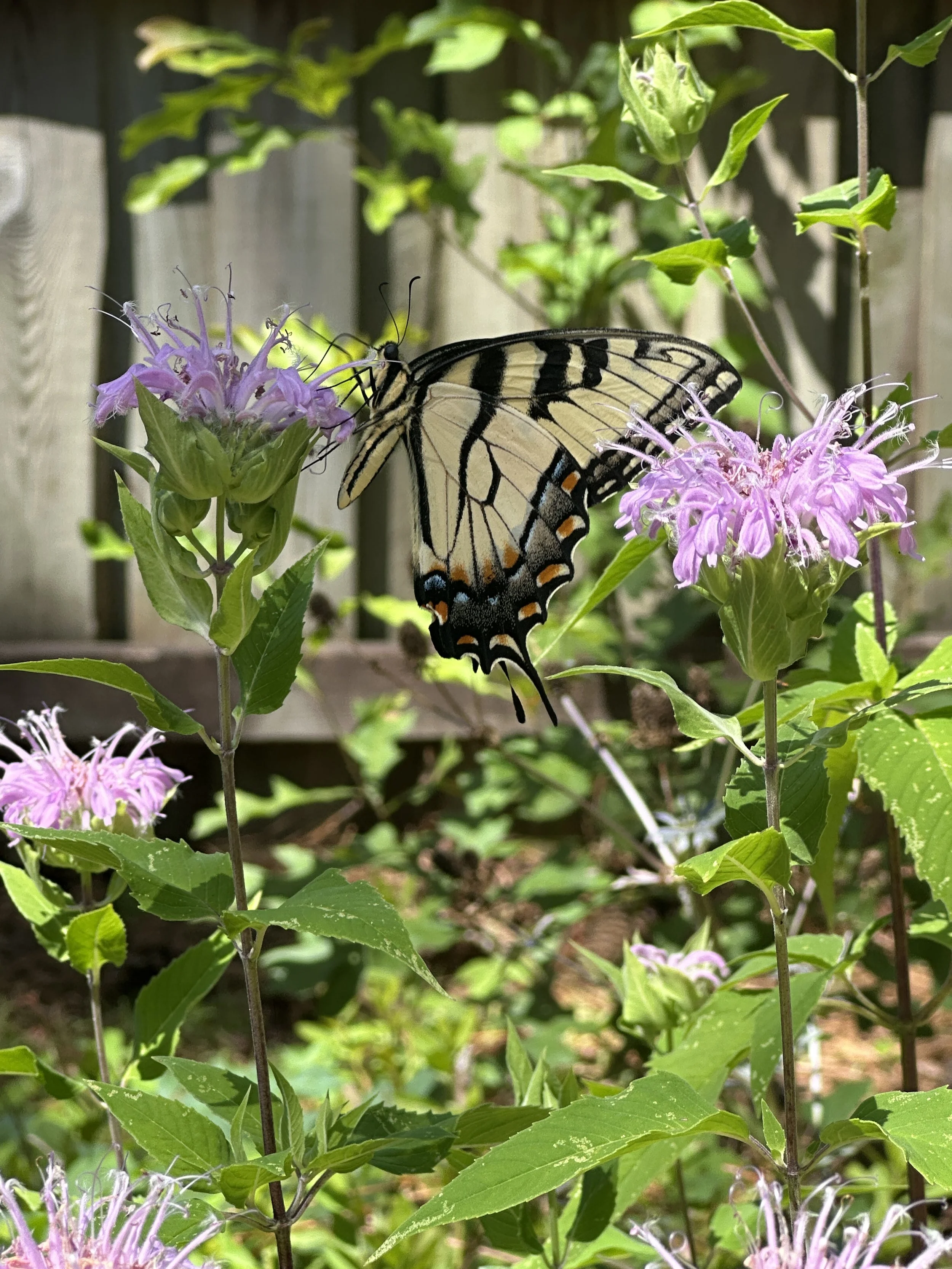 Private Property, Wilmington NC | 2025