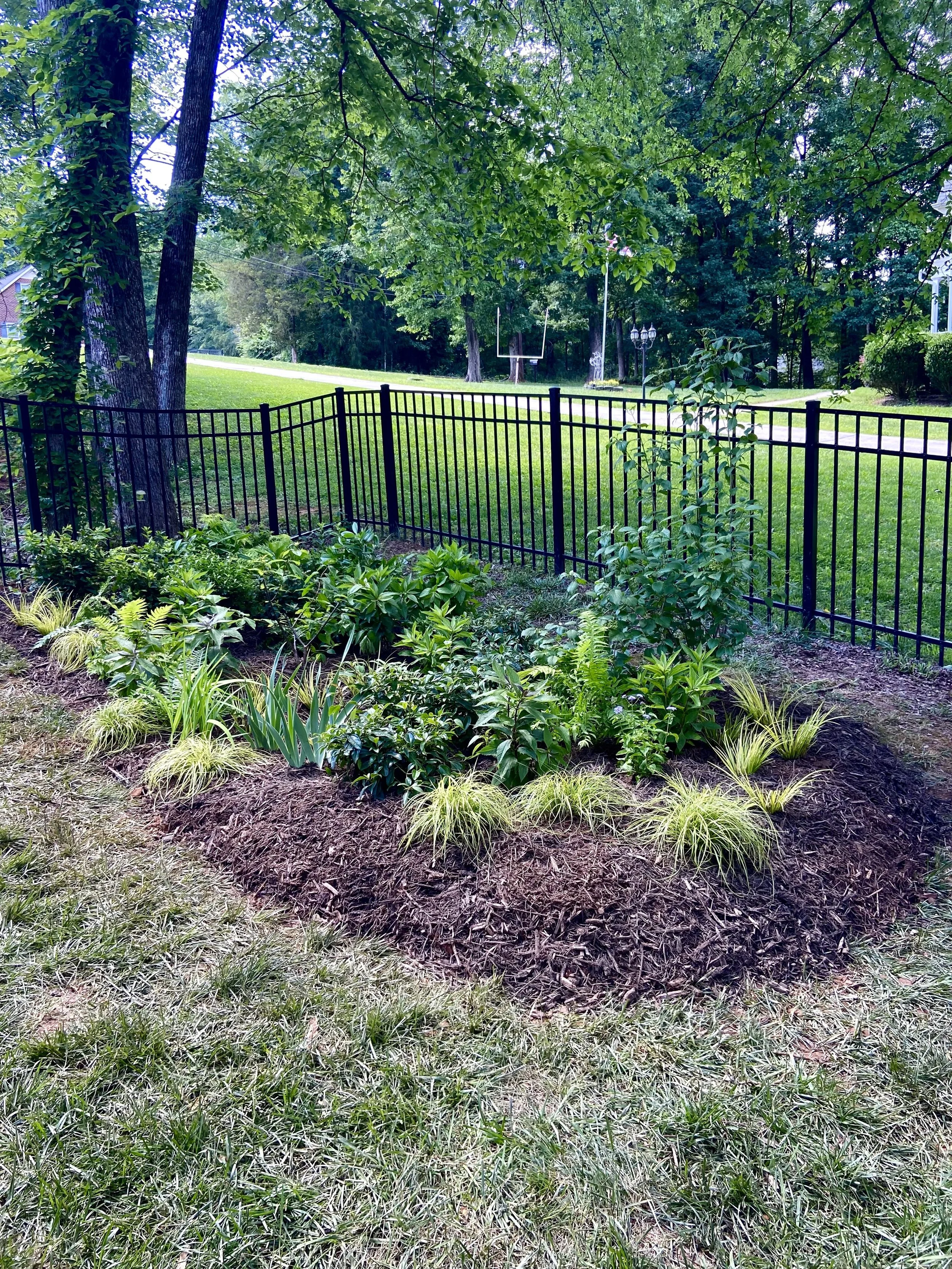 A typical rain-garden, created at the base of a natural drainage flow