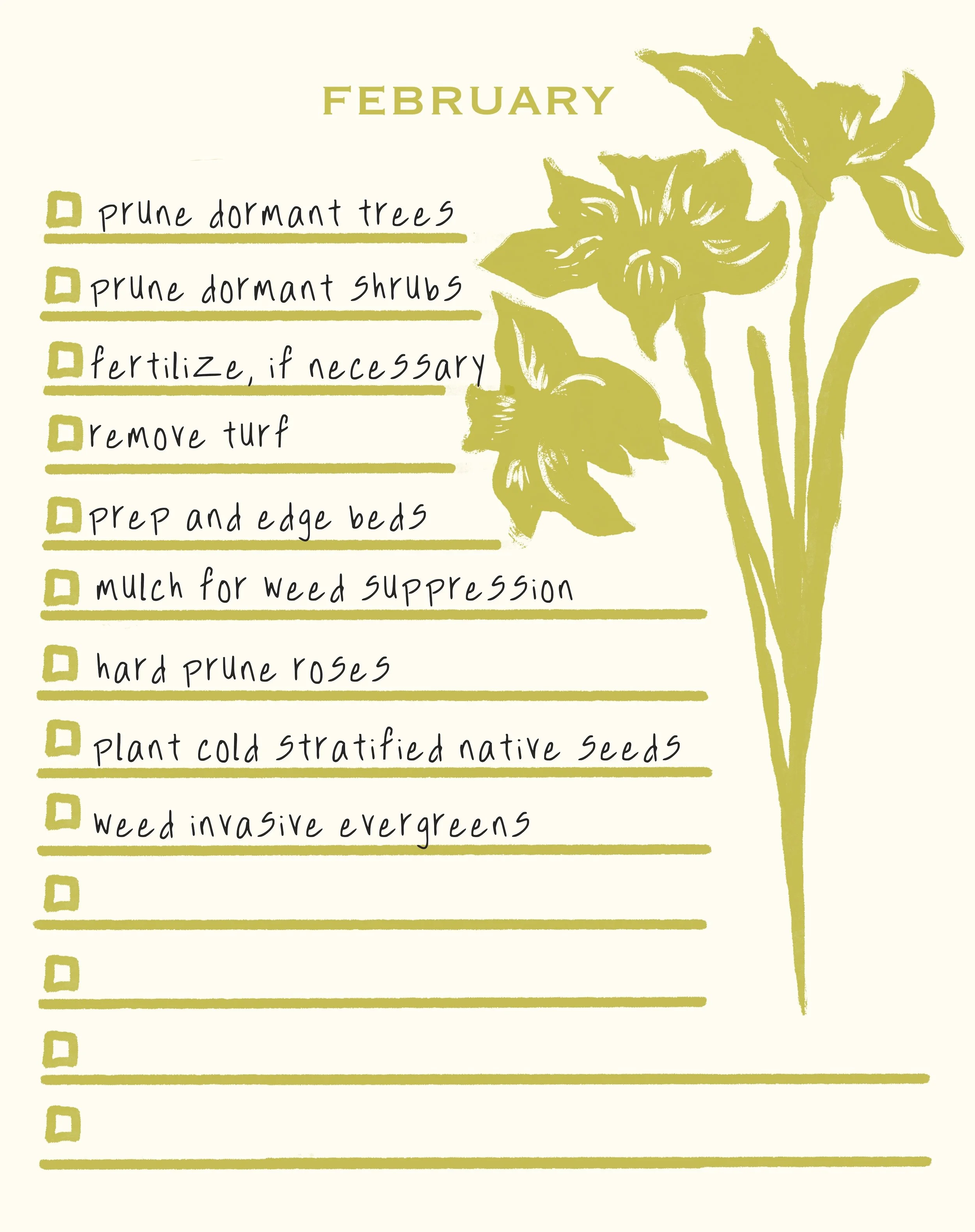 A checklist for February gardening tasks including prune dormant trees and shrubs, fertilize if necessary, remove turf, prep and edge beds, mulch for weed suppression, hard prune roses, plant cold stratified native seeds, and weed invasive evergreens