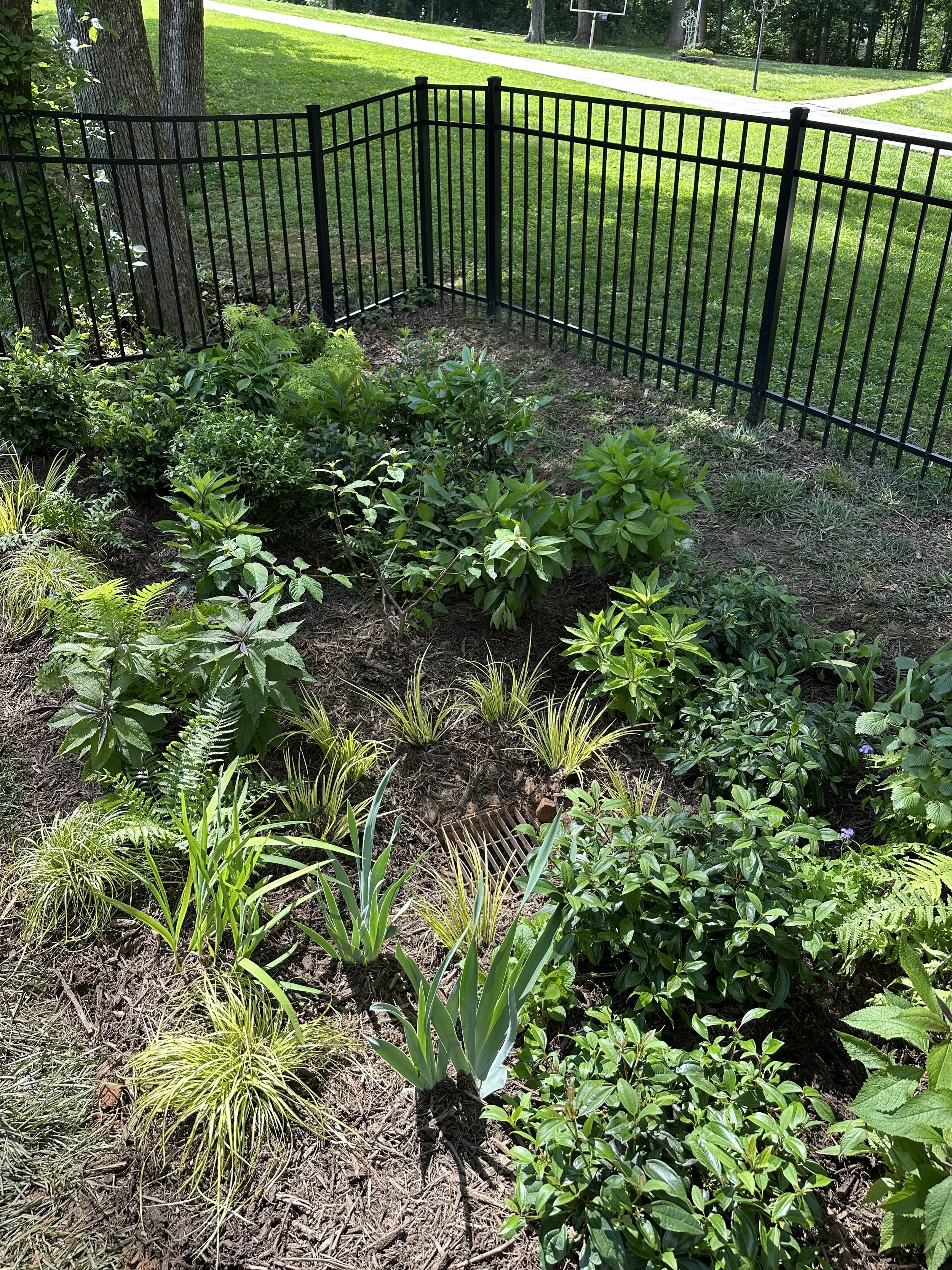 Green Infrastructure