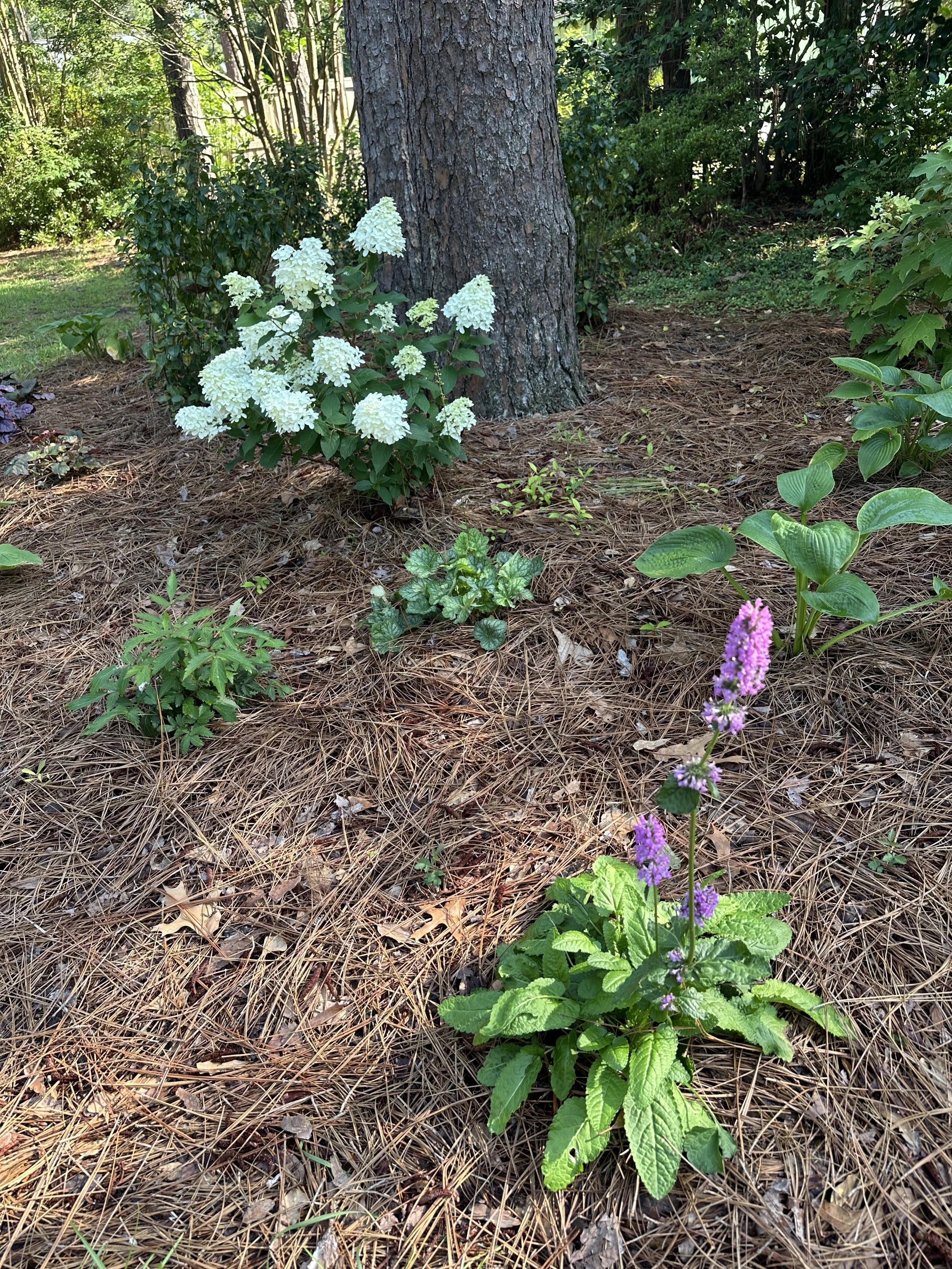 Private Property, Wilmington NC | 2025