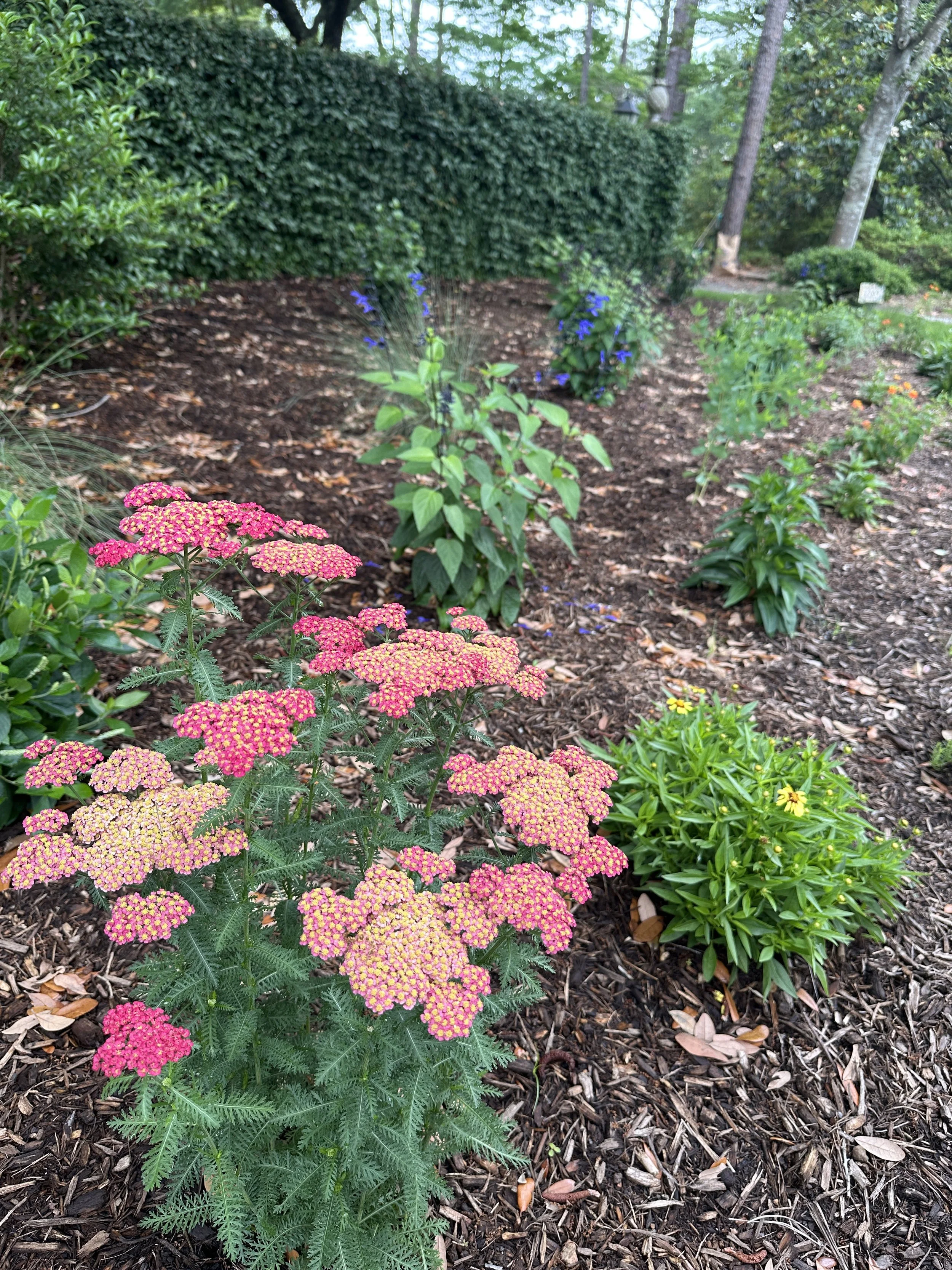 Private Property, Wilmington NC | 2025