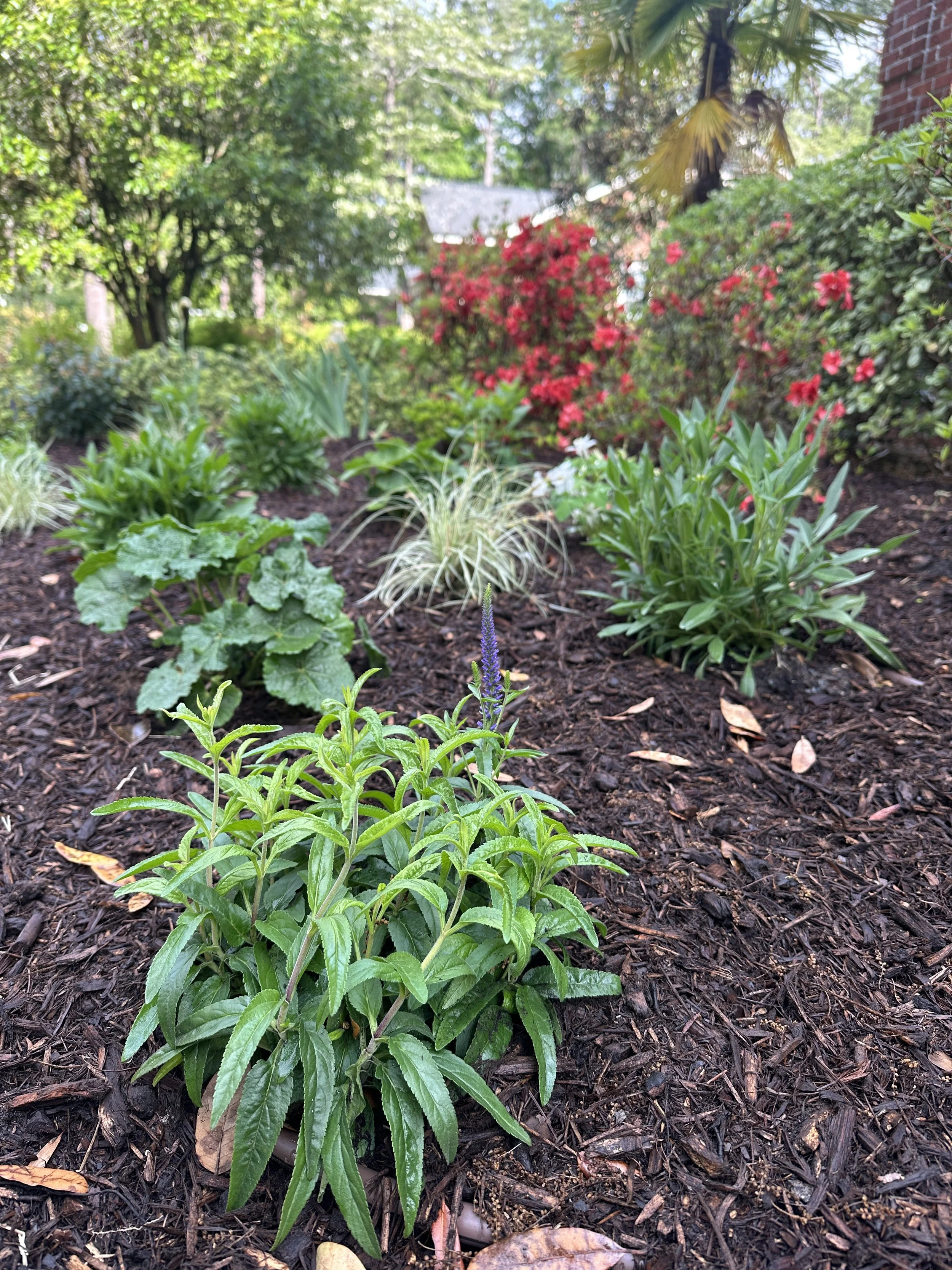 Private Property, Wilmington NC | 2025