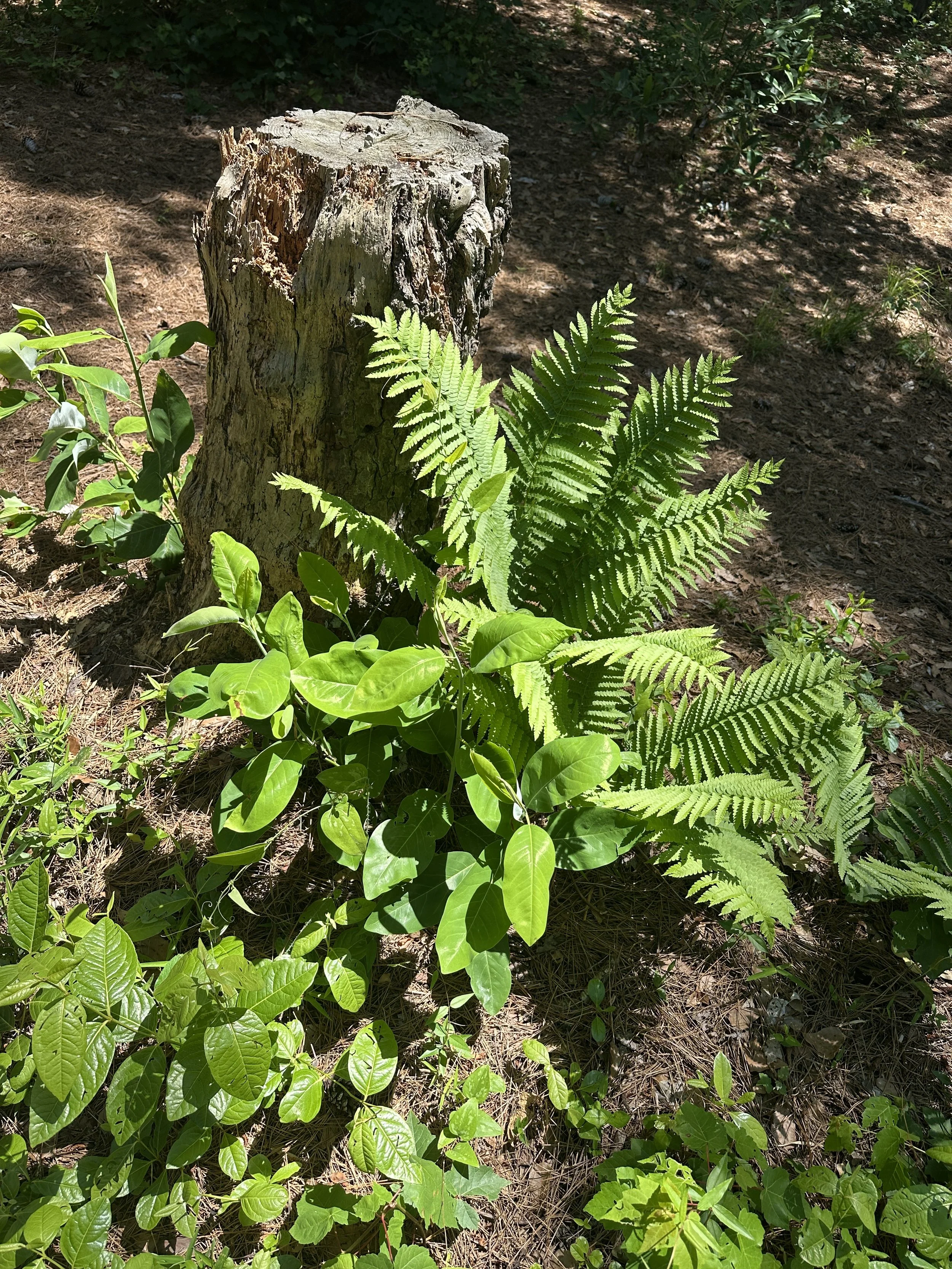 Private Property, Wilmington NC | 2025