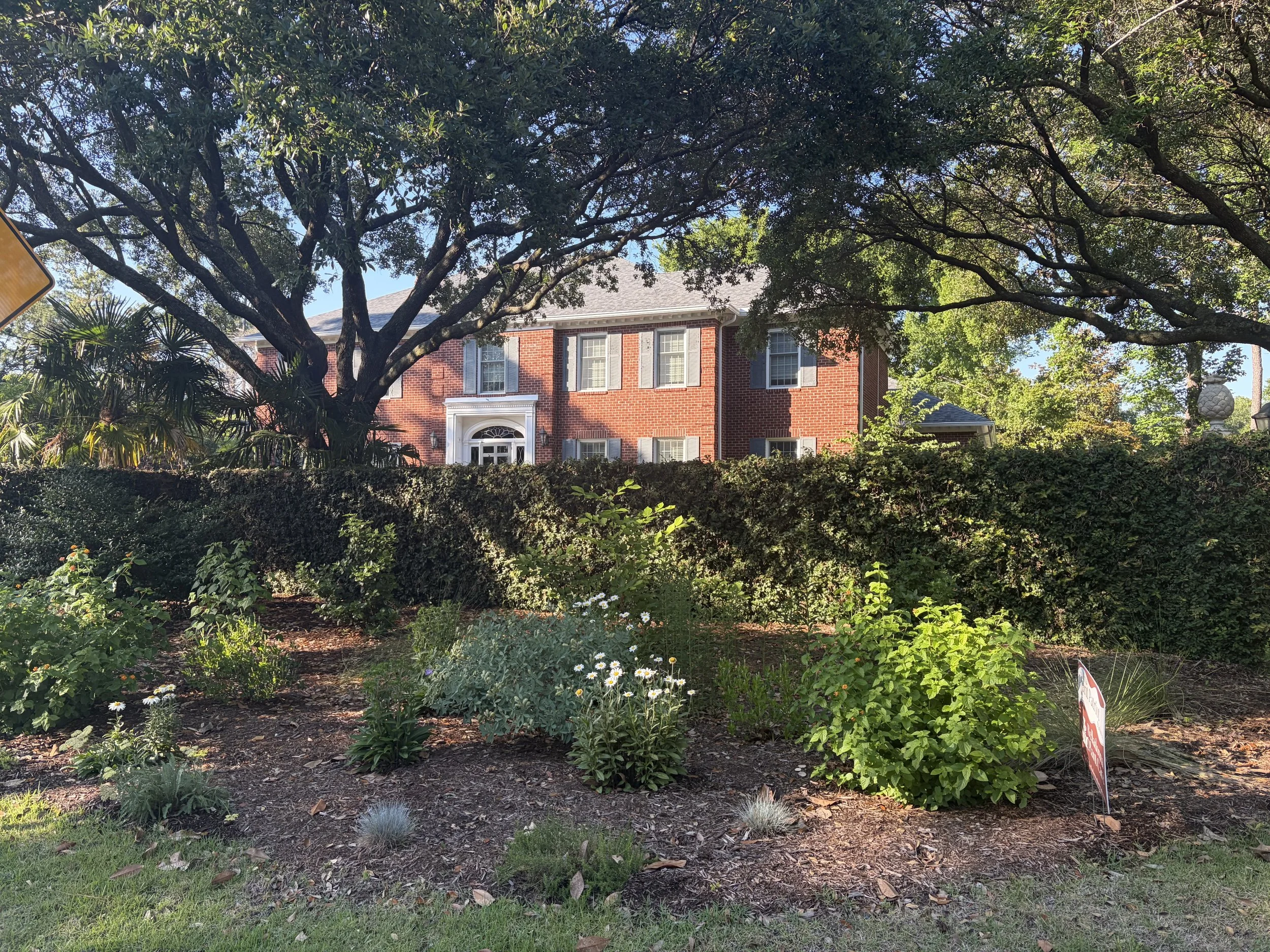 Lawn Conversion