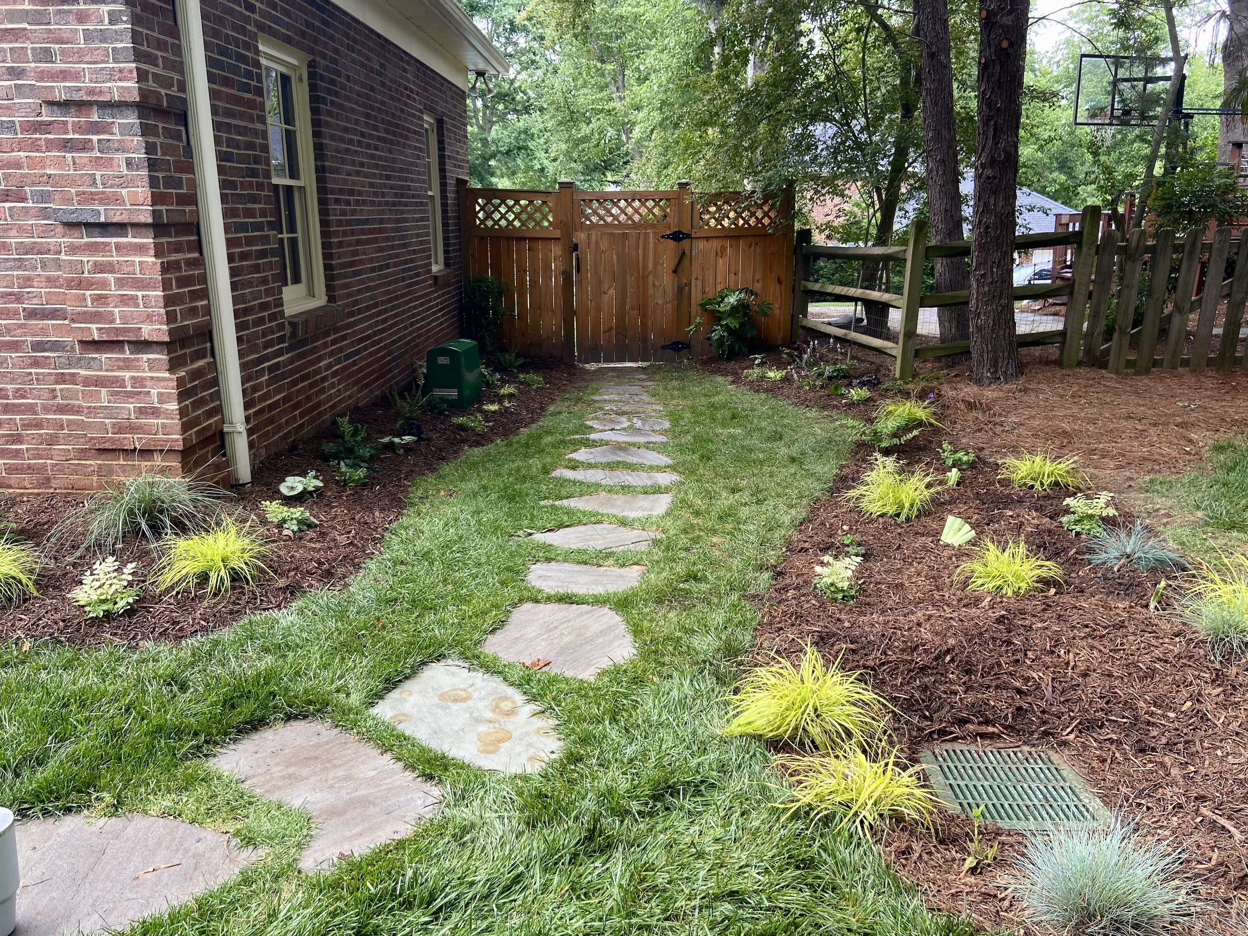 Plants on the left are planted in a berm around the drain to absorb excess water