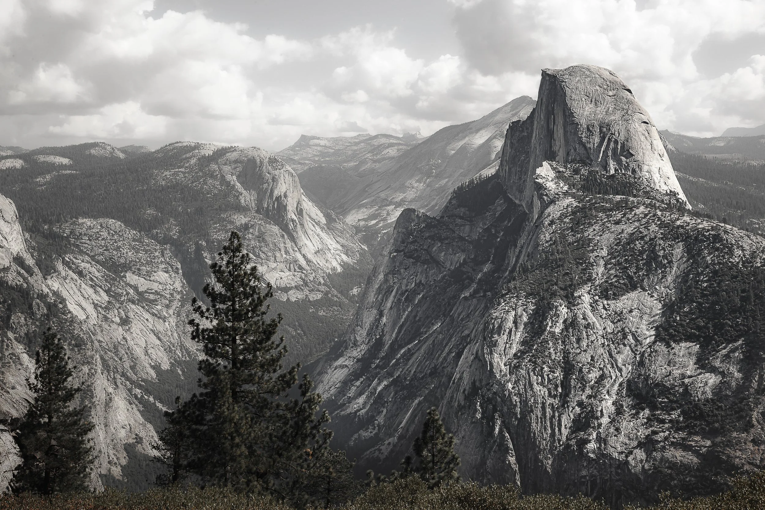 Vistas