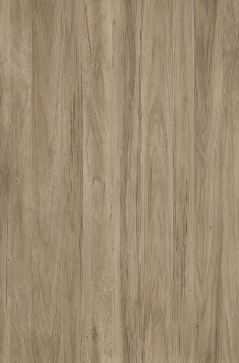 Novolegno Nogal Epic