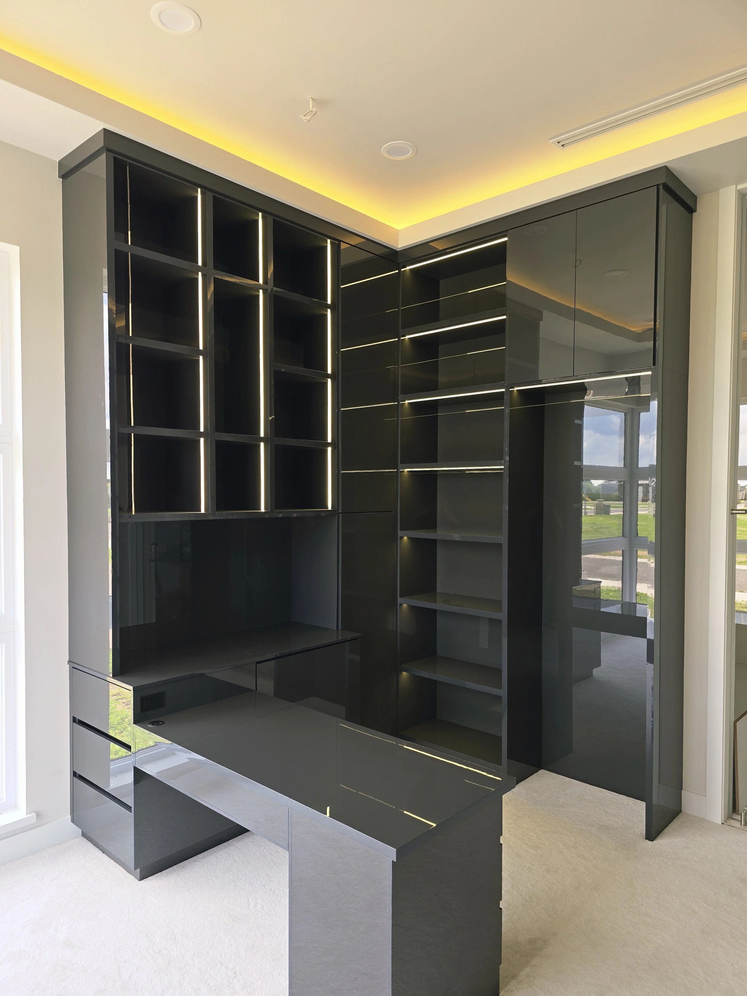 Modern black built-in shelving and cabinets with LED lighting in a bright room with a large window.