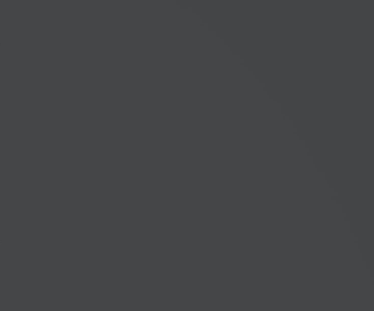 Perfectsense Antracita